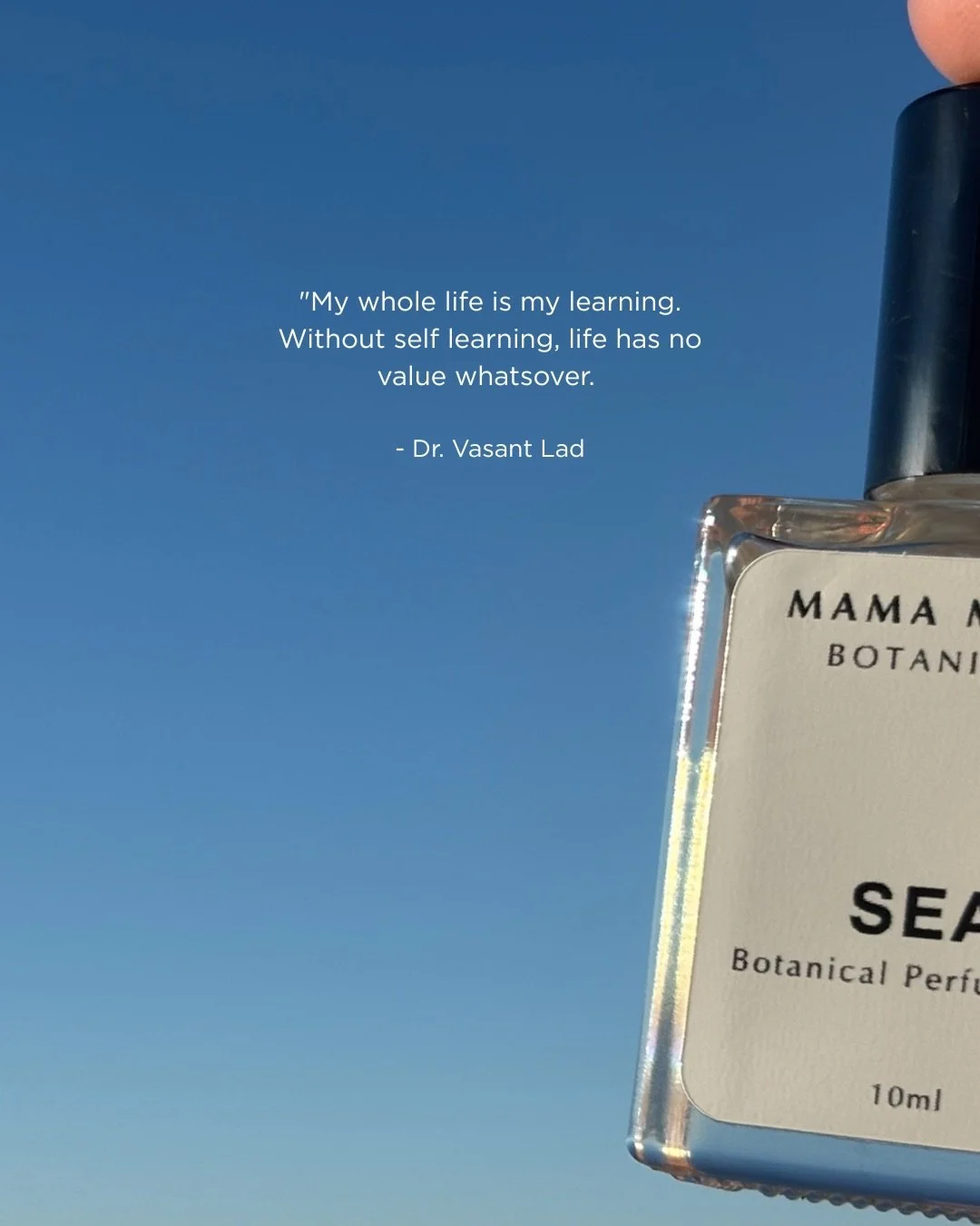 If you know me, you know I take breaks from social media&mdash;I&rsquo;ve wanted to pop in and say hi, but honestly, life has felt rather loud lately, and all I&rsquo;ve wanted to do is snuggle up with my dog, listen to the rain, and return to the pr