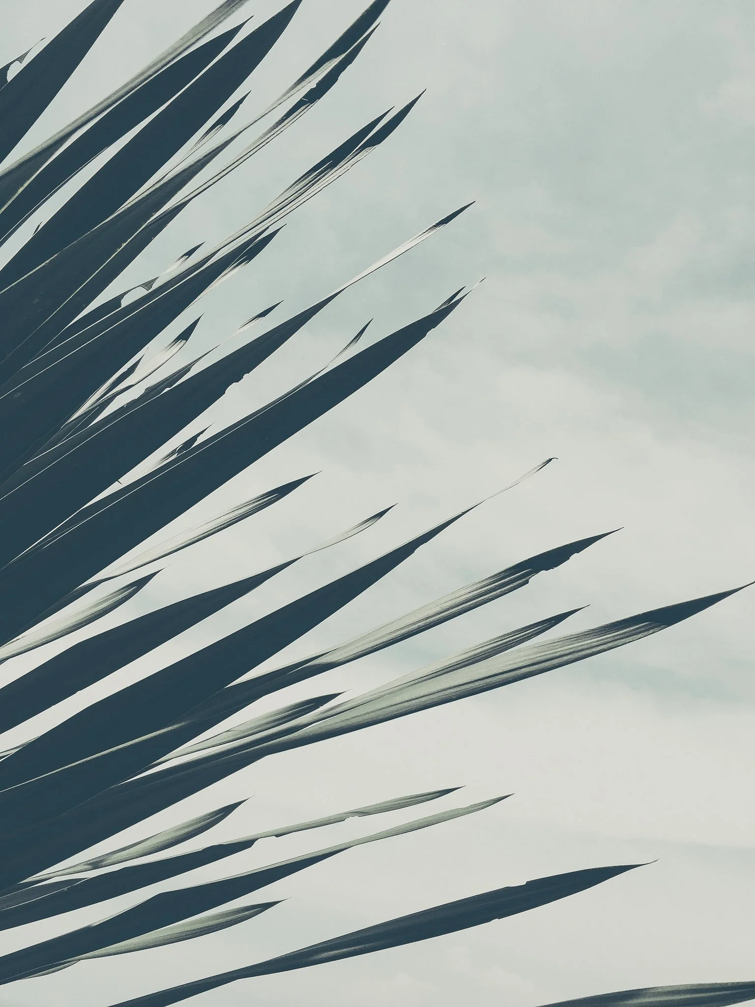 Kapha “what sticks”