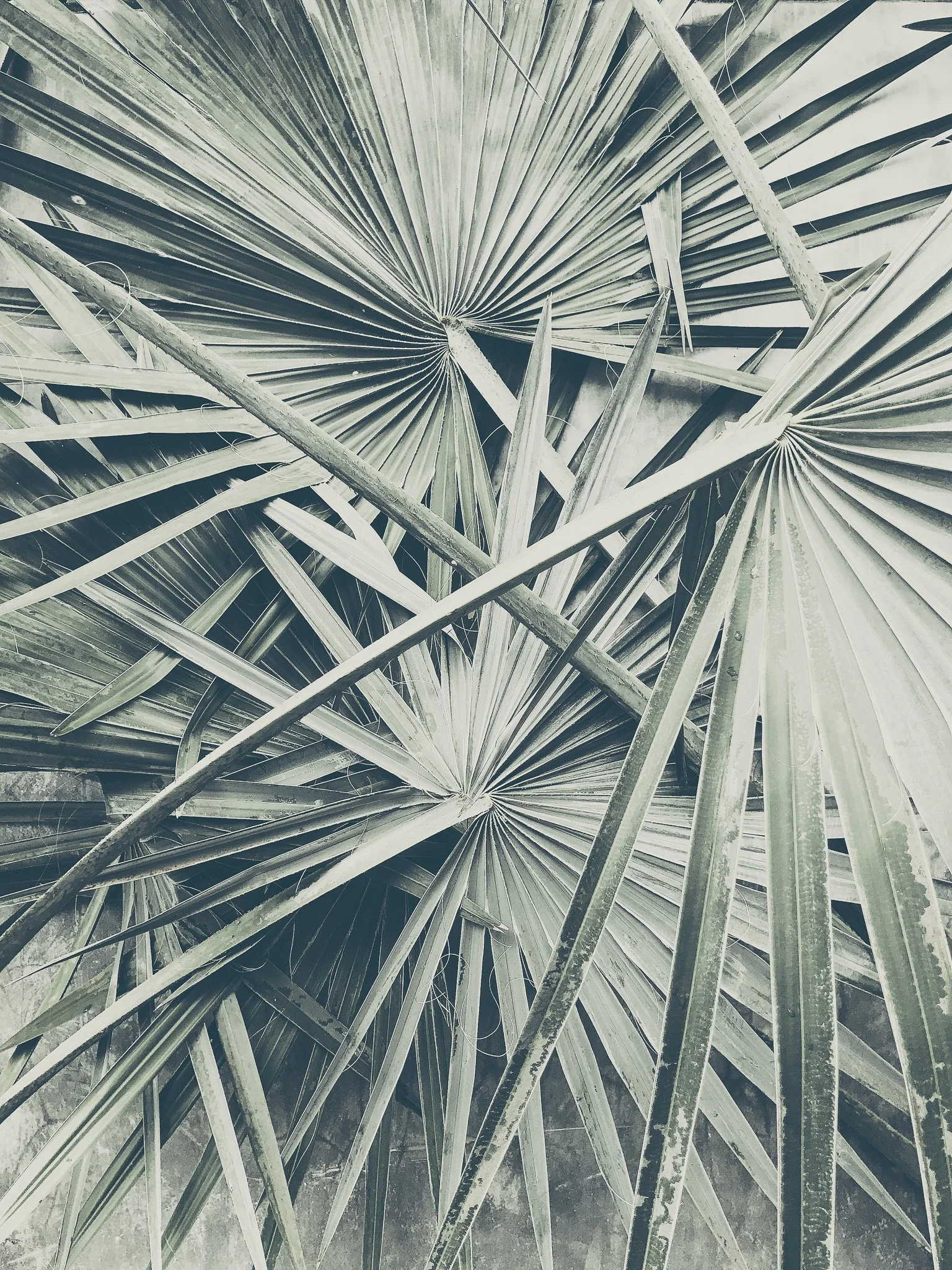 Vata  “what moves”