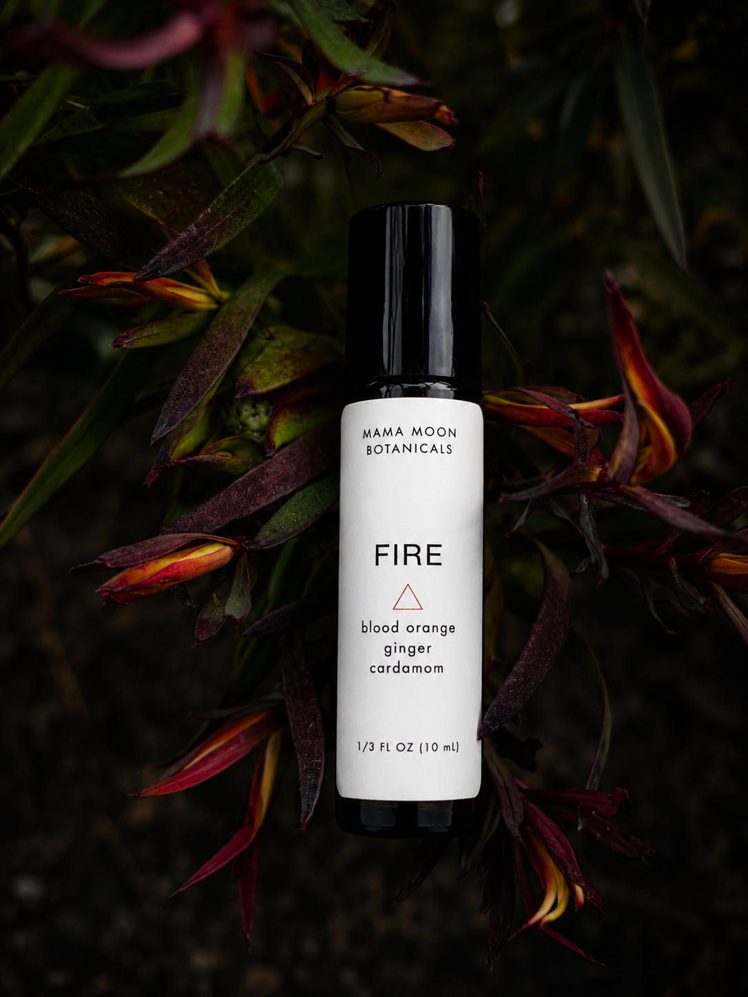 FIRE