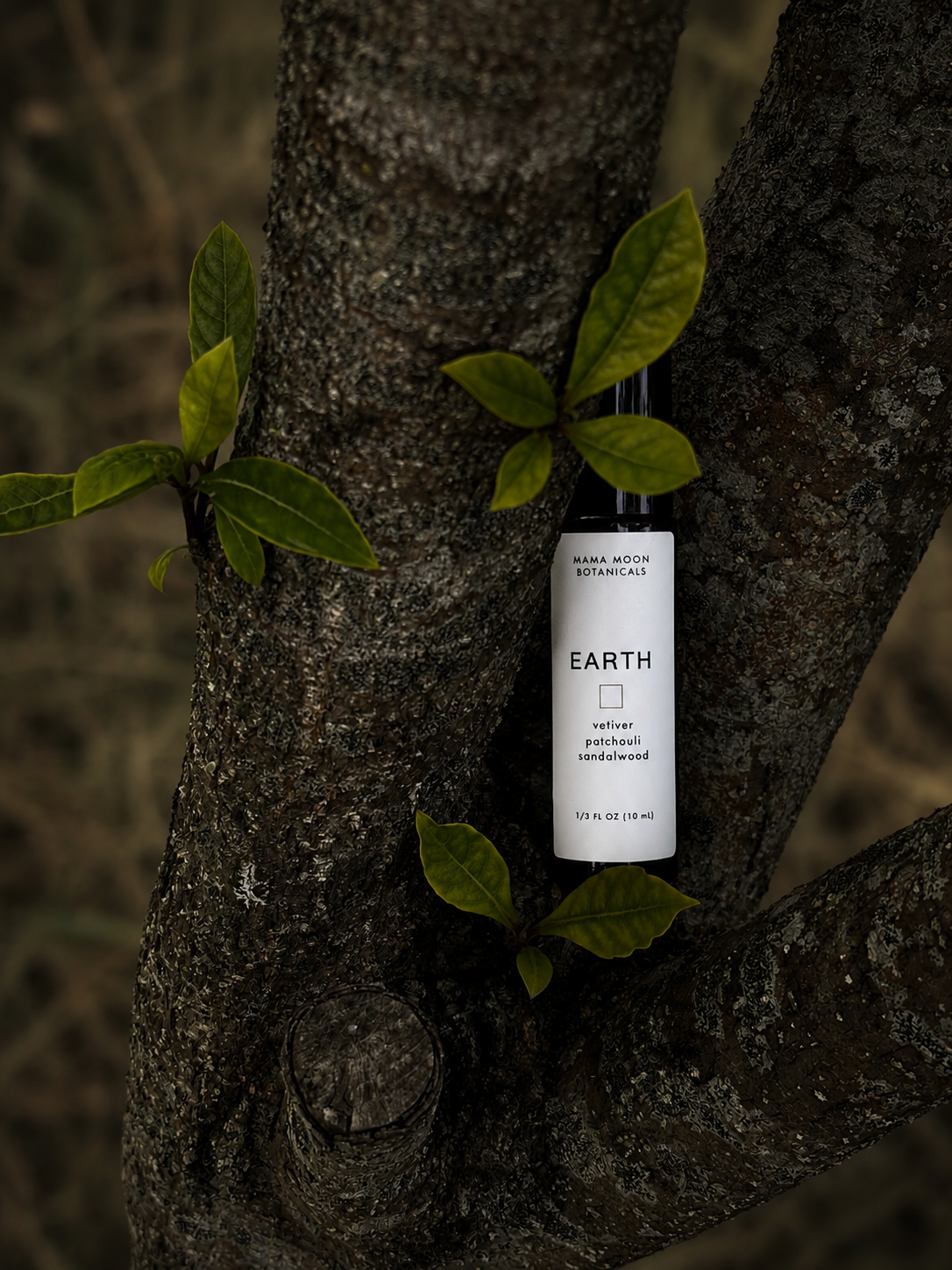 EARTH