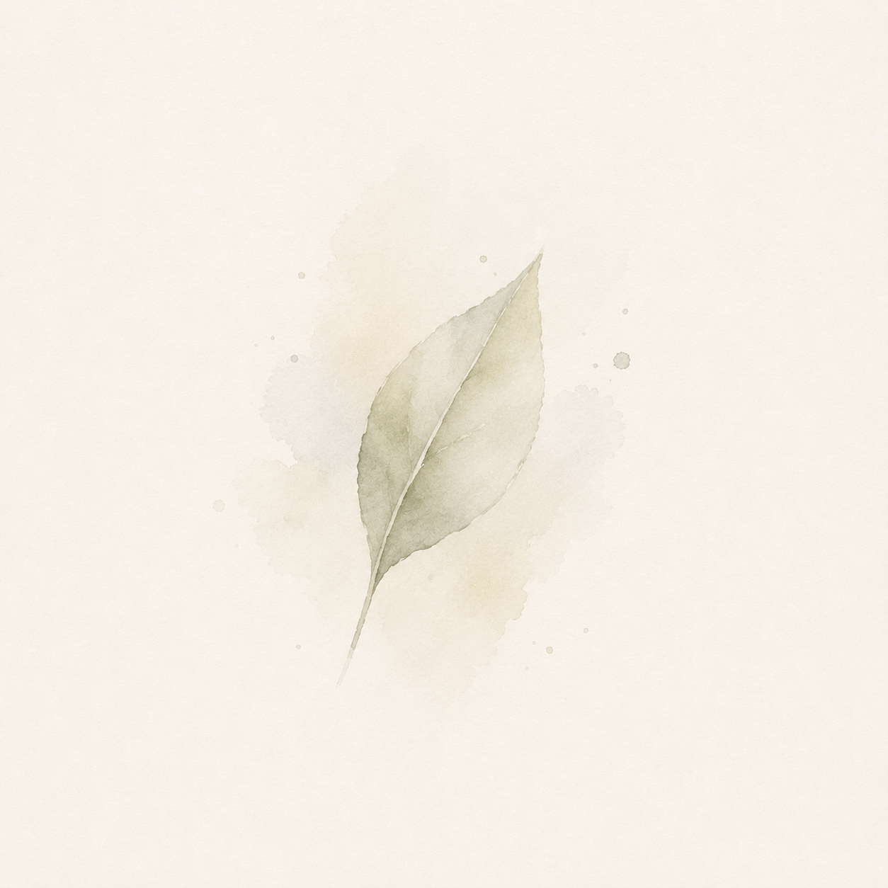 74fadfae-eabe-4ee2-a59d-1ab1bd9a189b.png