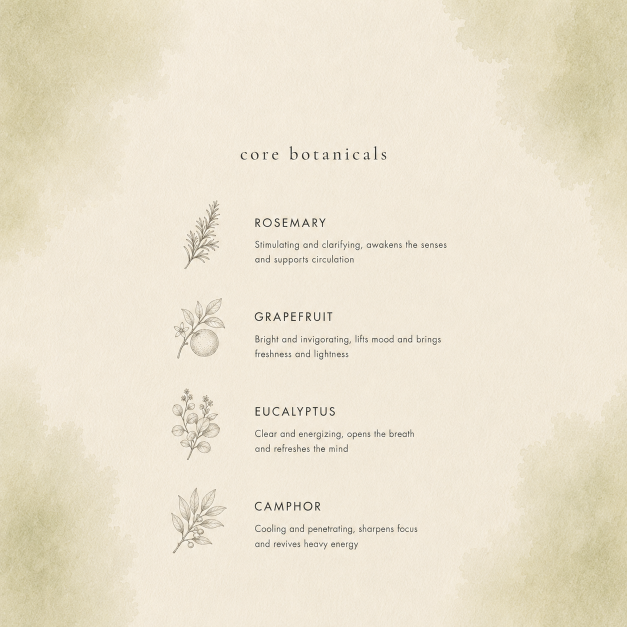 e43b3adc-783c-4d8b-8789-e13e99a457c1.png