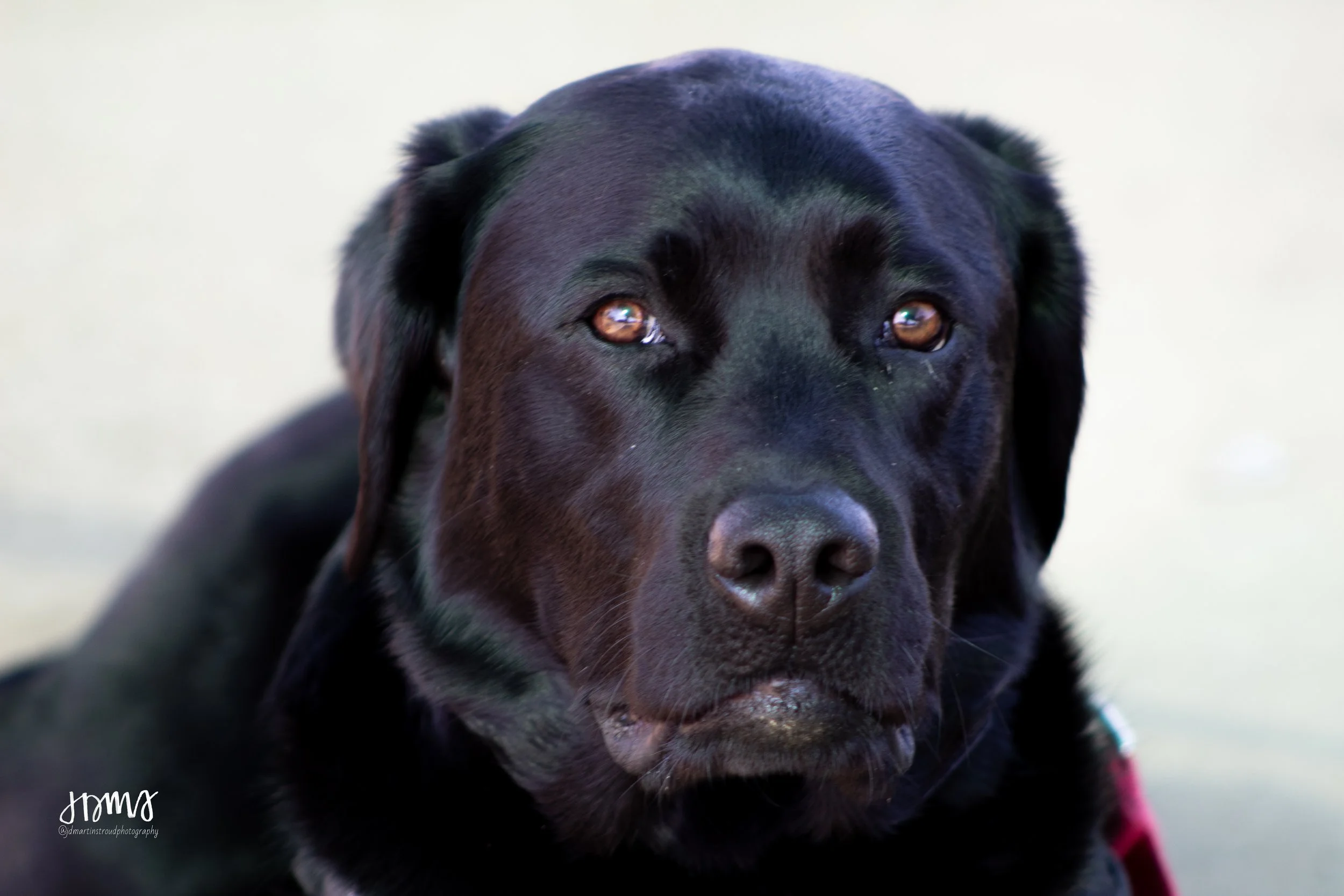 Eagles 2022-0900.jpg