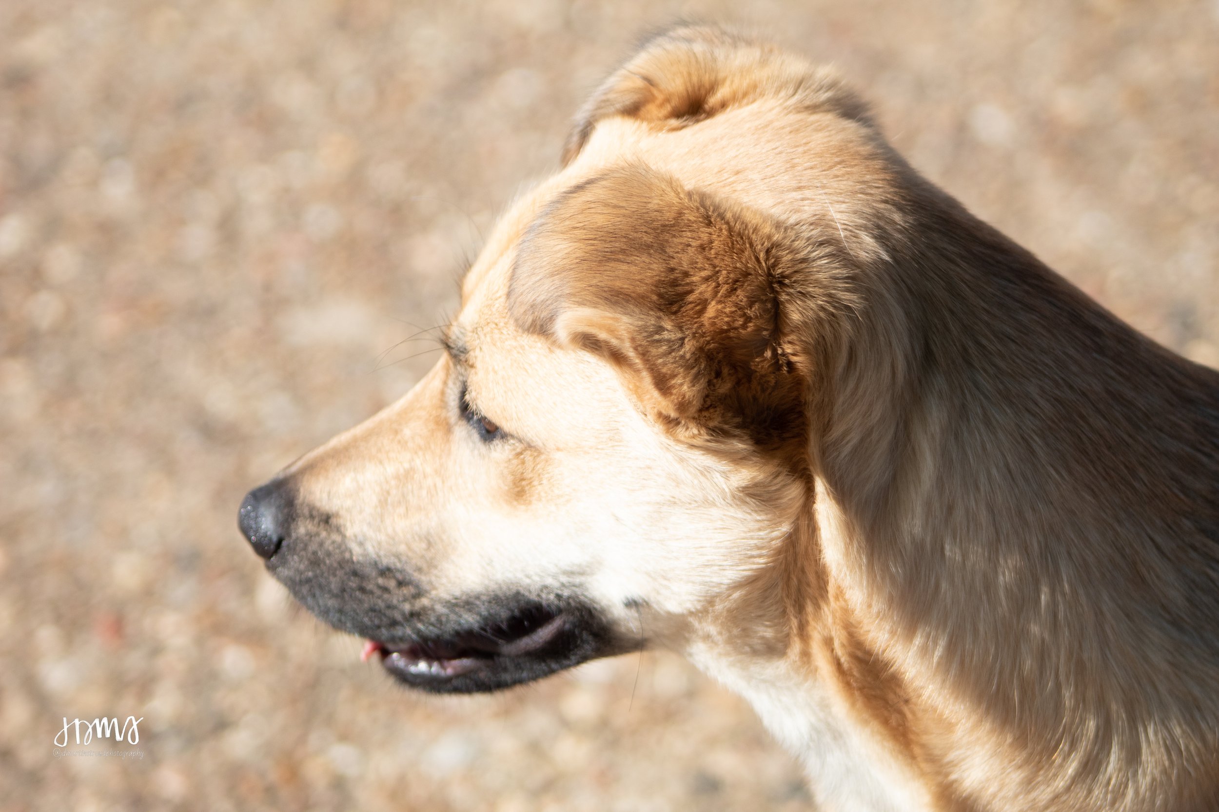 Eagles 2022-0901.jpg