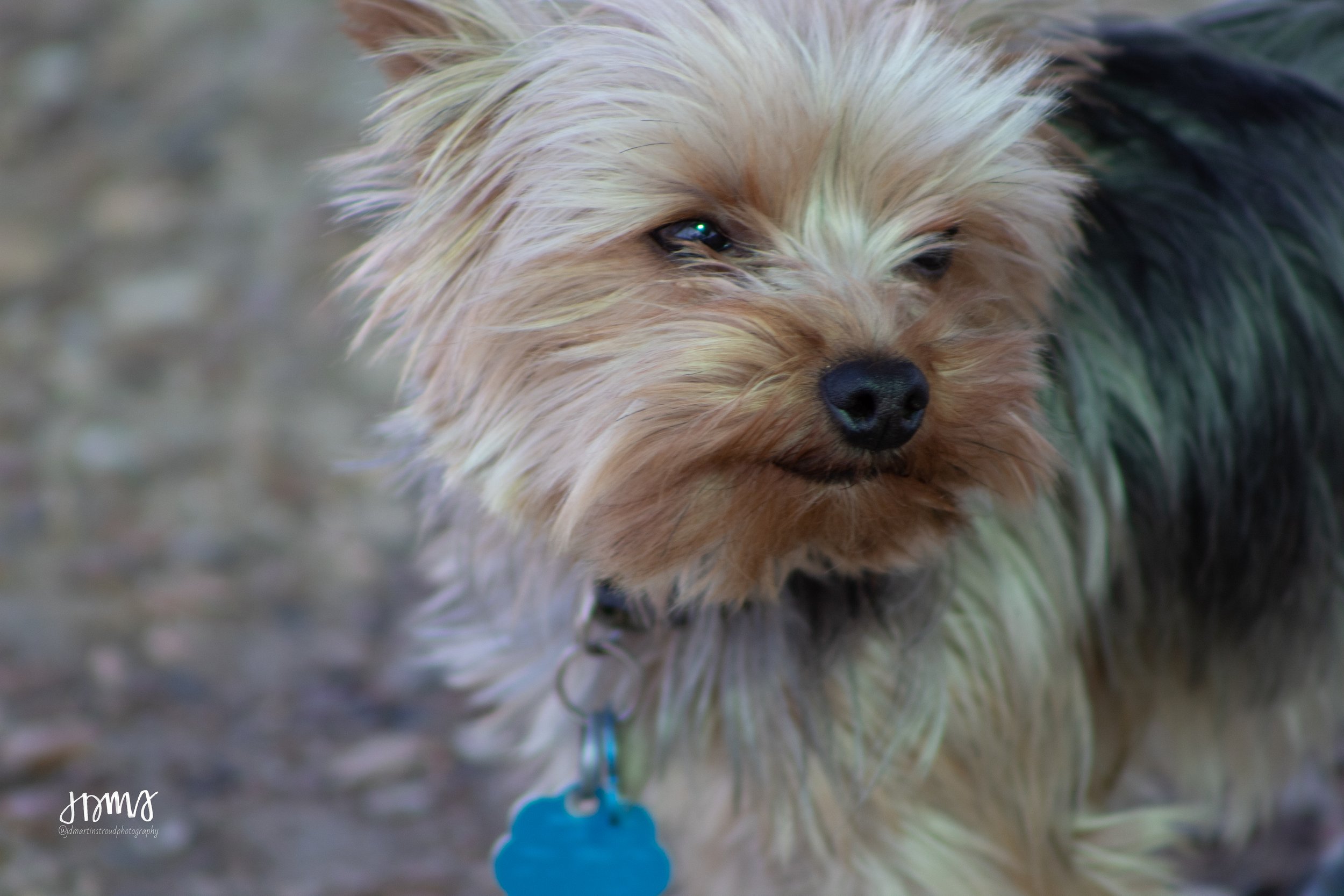 Eagles 2022-0909.jpg