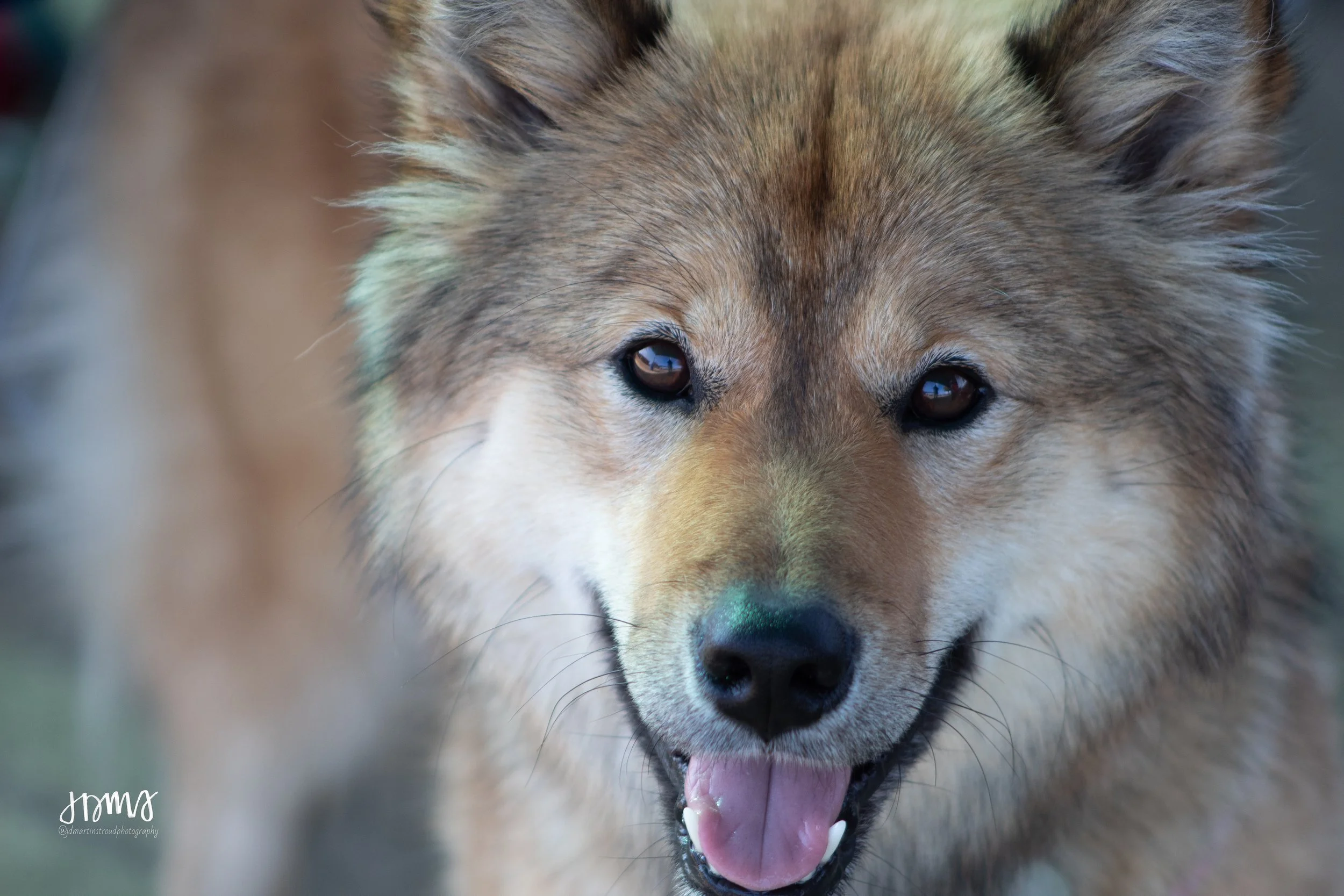 Eagles 2022-0916.jpg