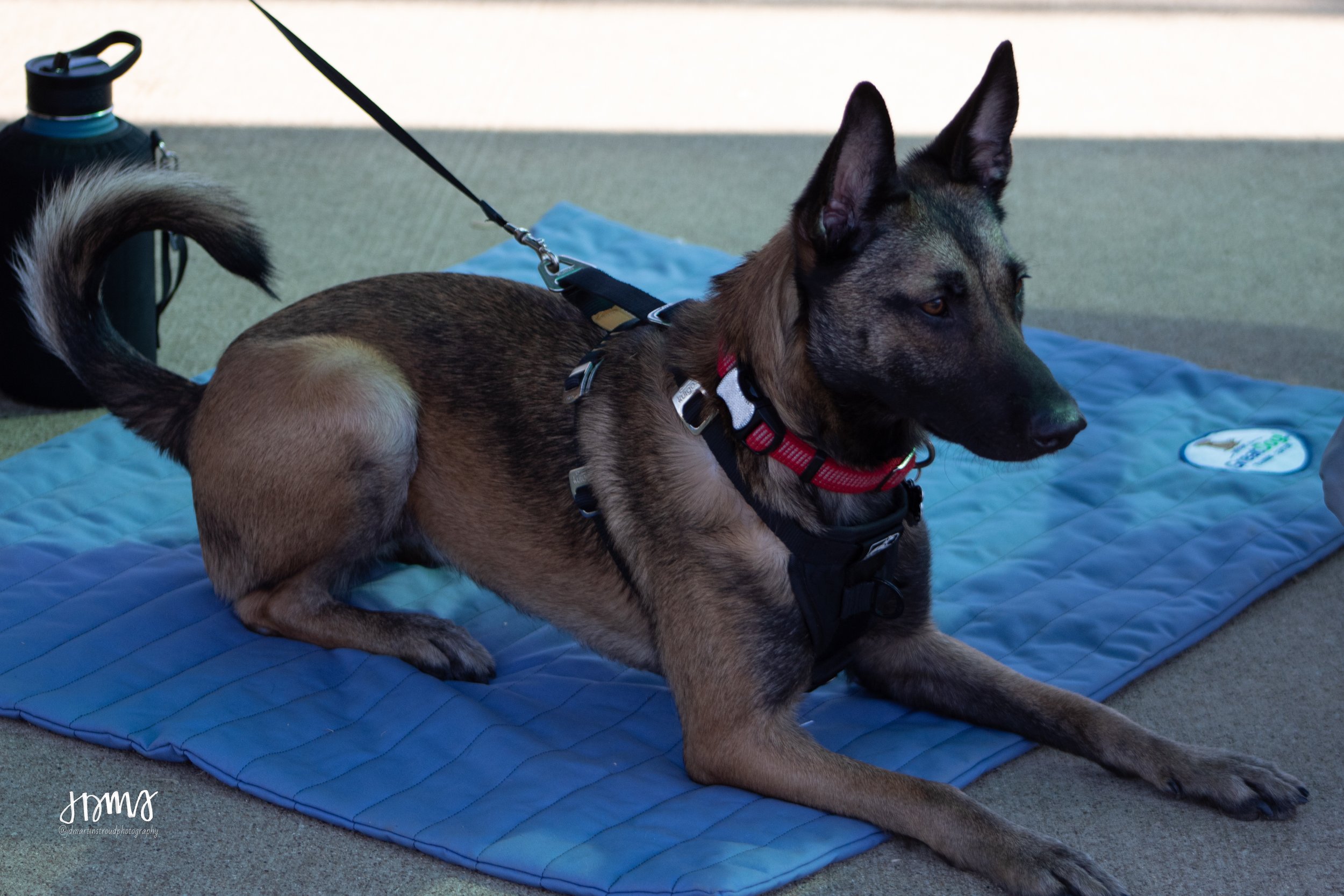 Eagles 2022-0956.jpg