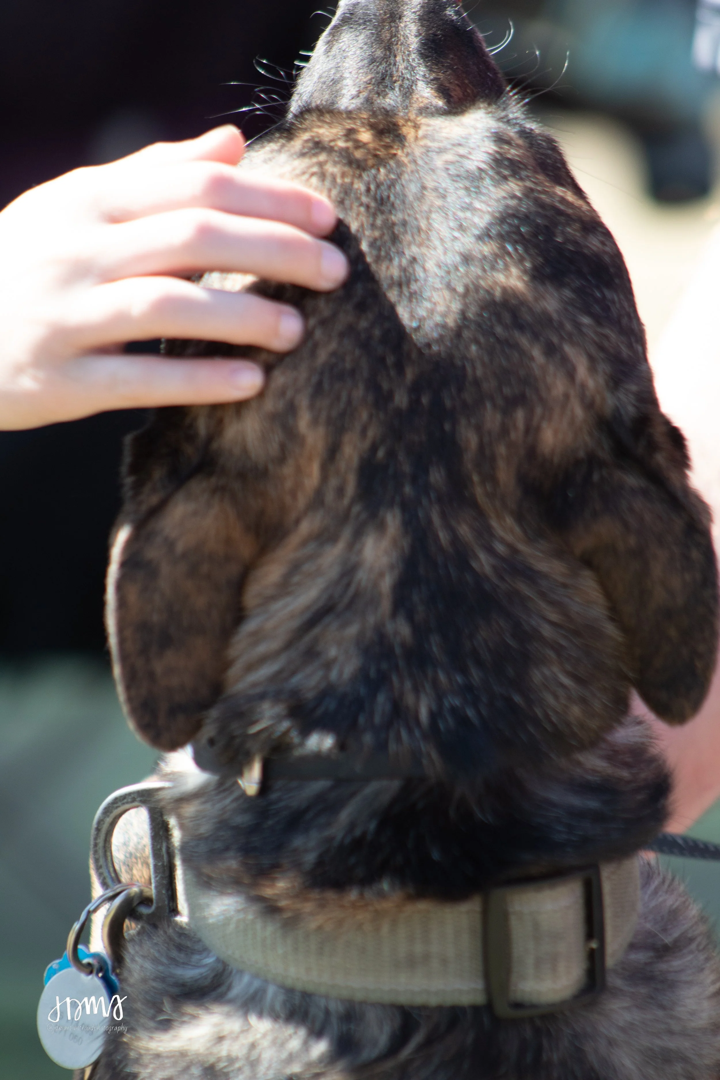 Eagles 2022-0974.jpg