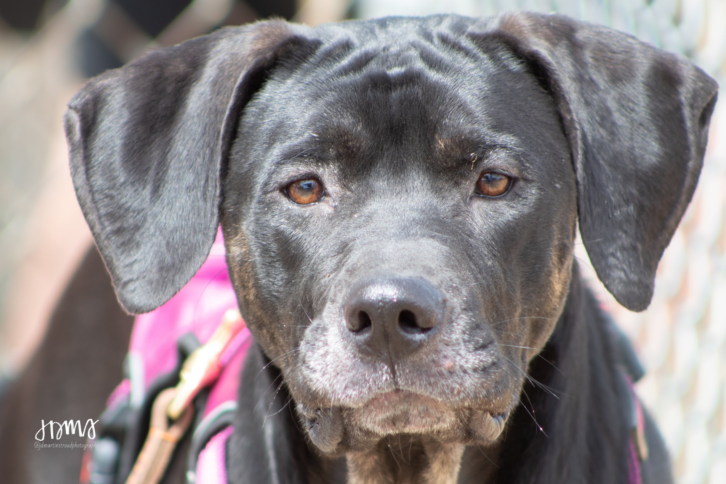 Eagles 2022-1529.jpg