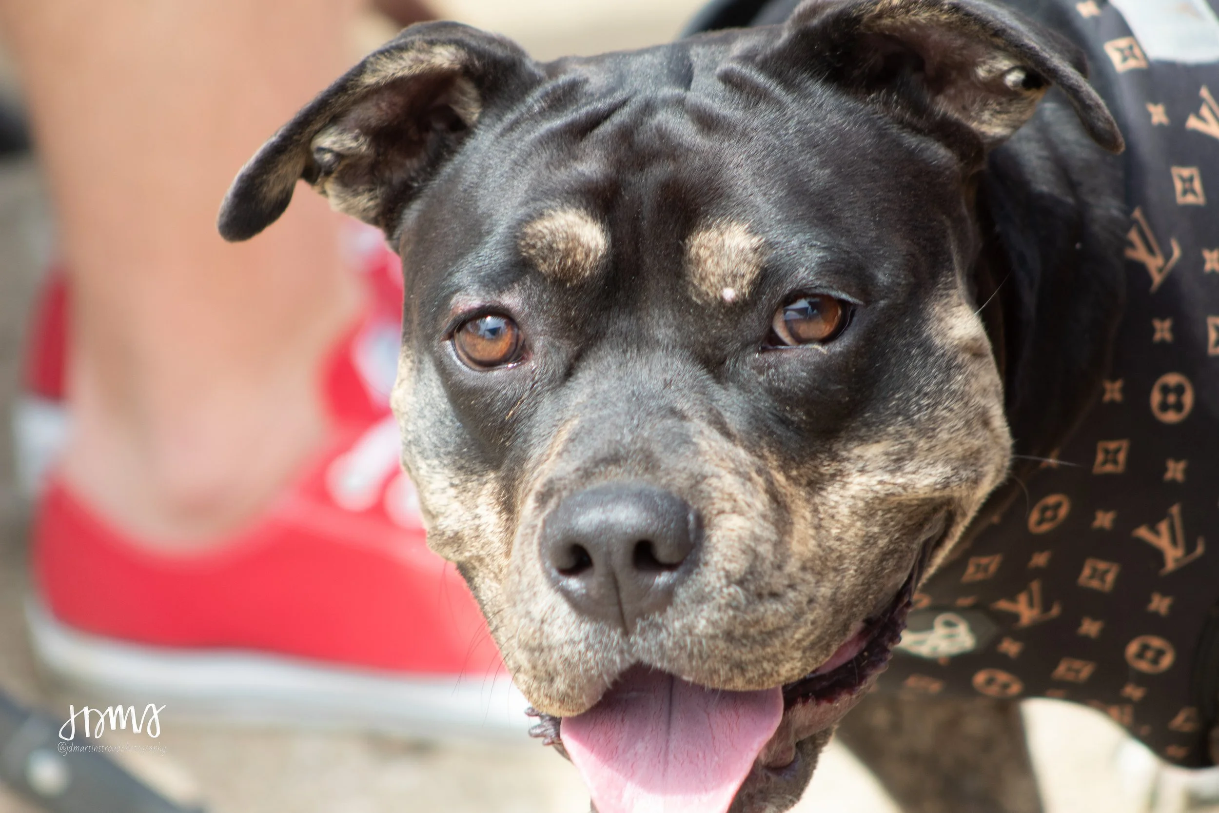 Eagles 2022-1530.jpg