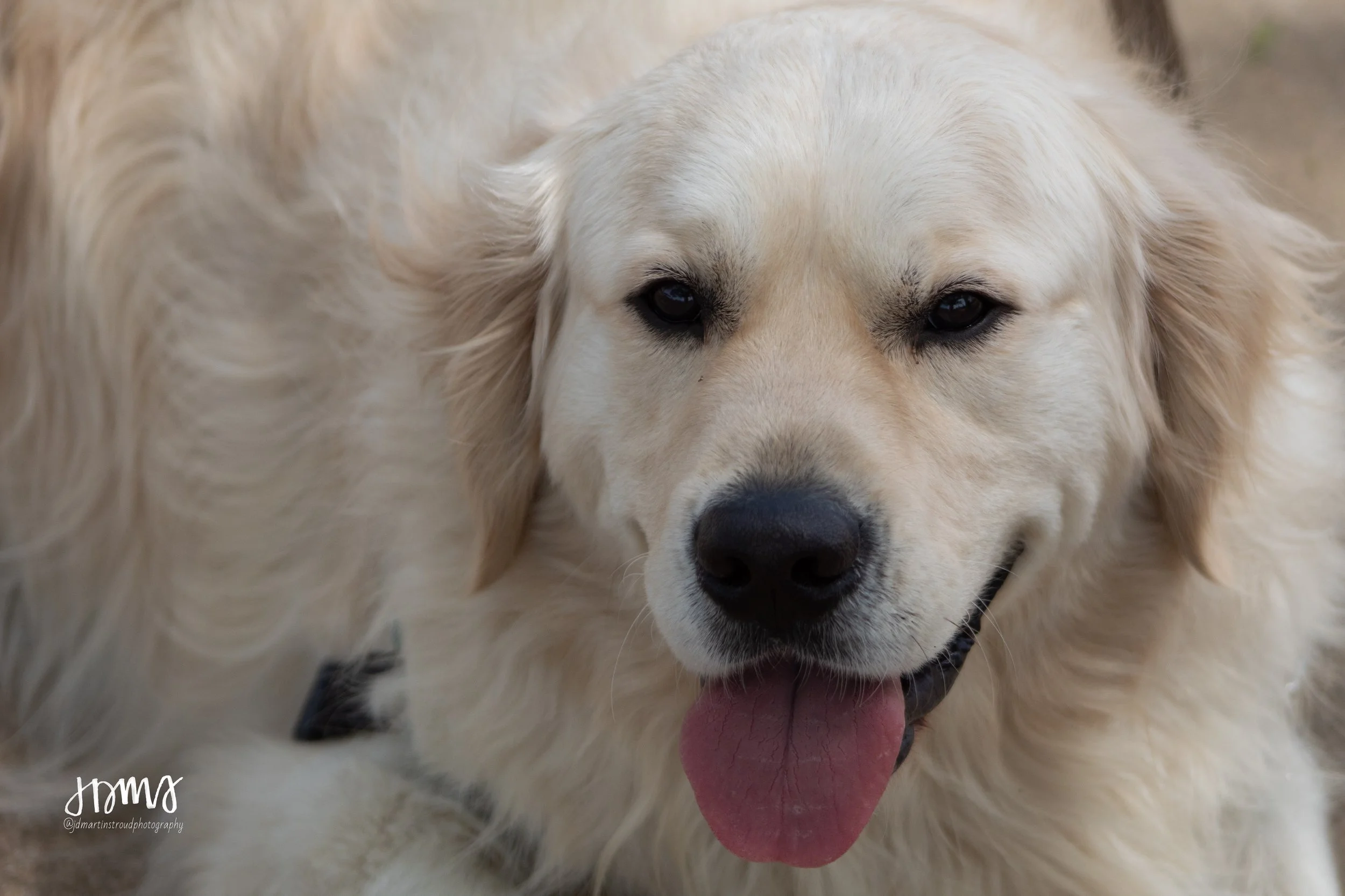 Eagles 2022-1566.jpg