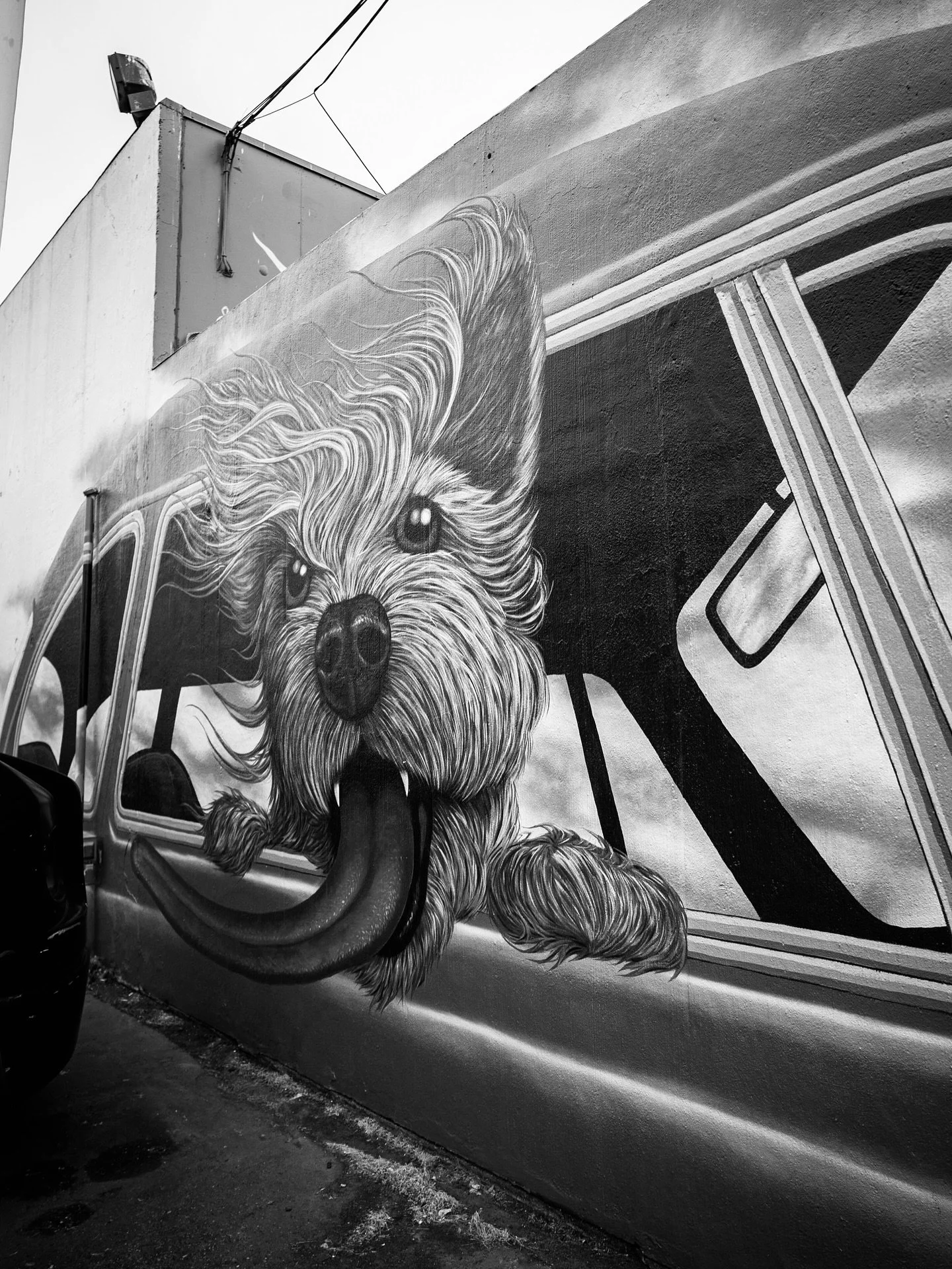 we shall call him: sir tototacosodo 🐾🌮 this big little fella is making us crave some roadtrip wind in our fur! 🚗💨 

designed and painted by @caseyweldon for @seattlecanineclub and @sodobia 👏🏾 

now we need a wall for our company mascots lottie 