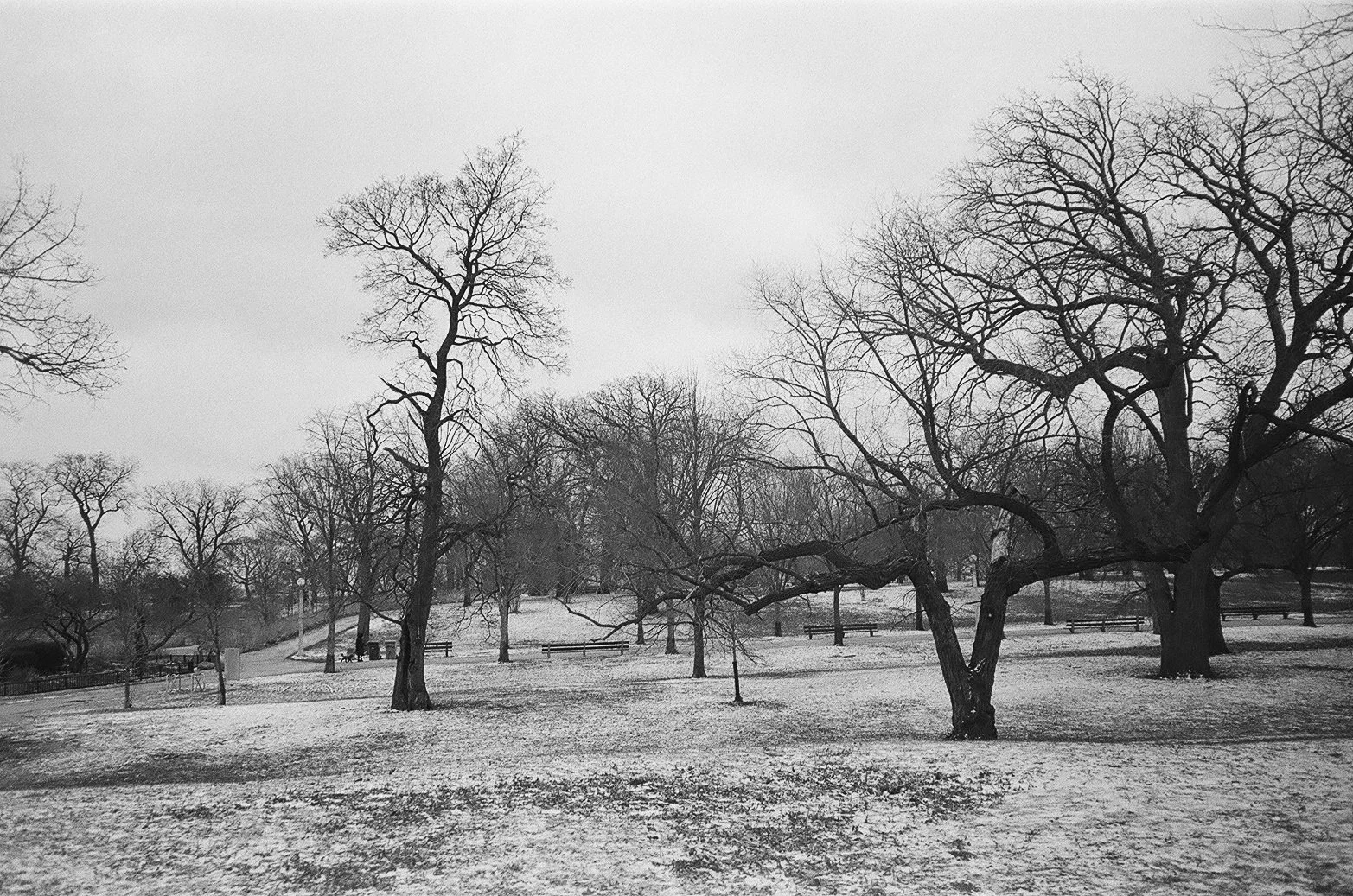 BradenNaquin-Photo-Chicago-013.jpg