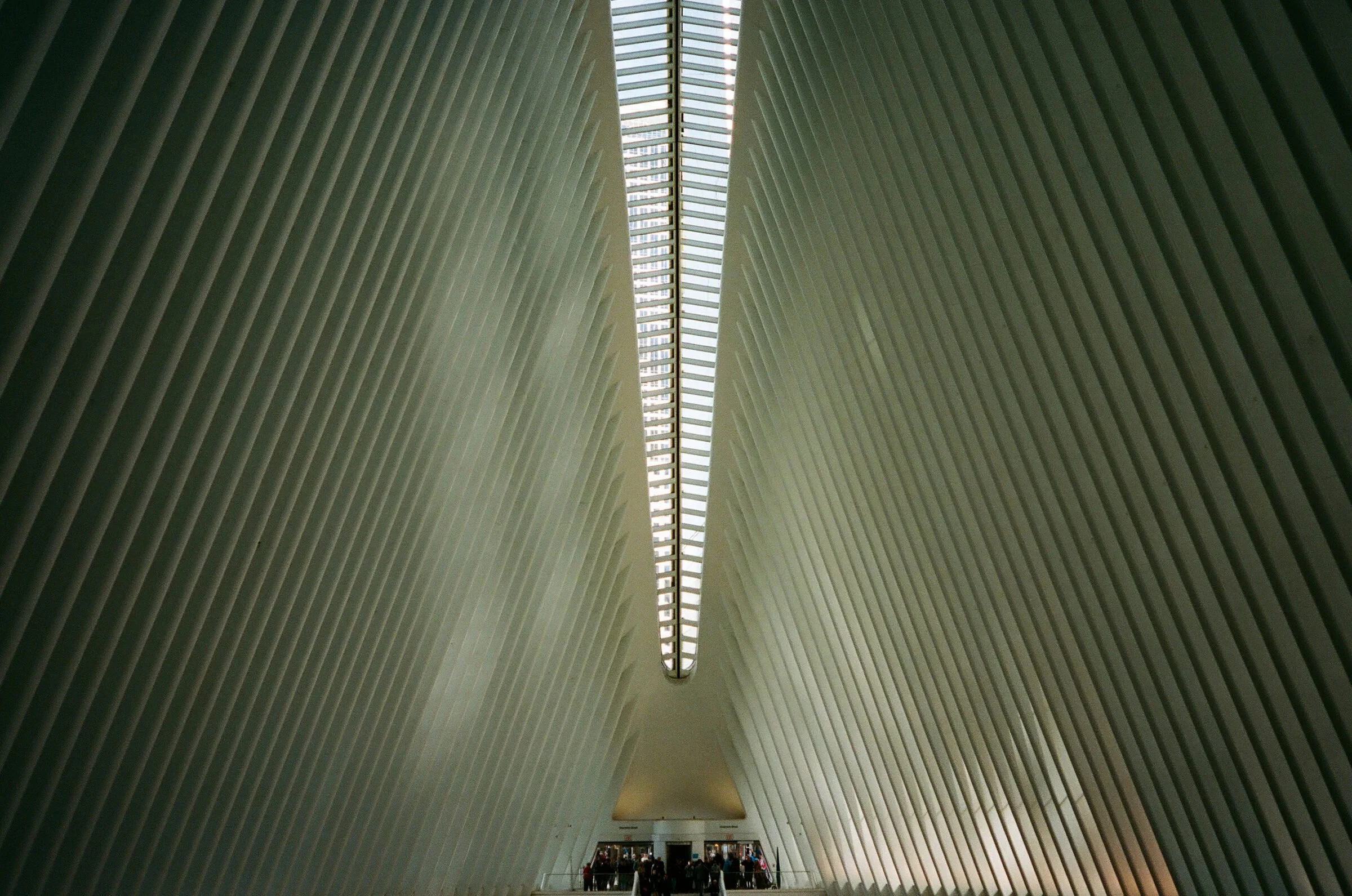BradenNaquin-Photo-NYC-023.jpg