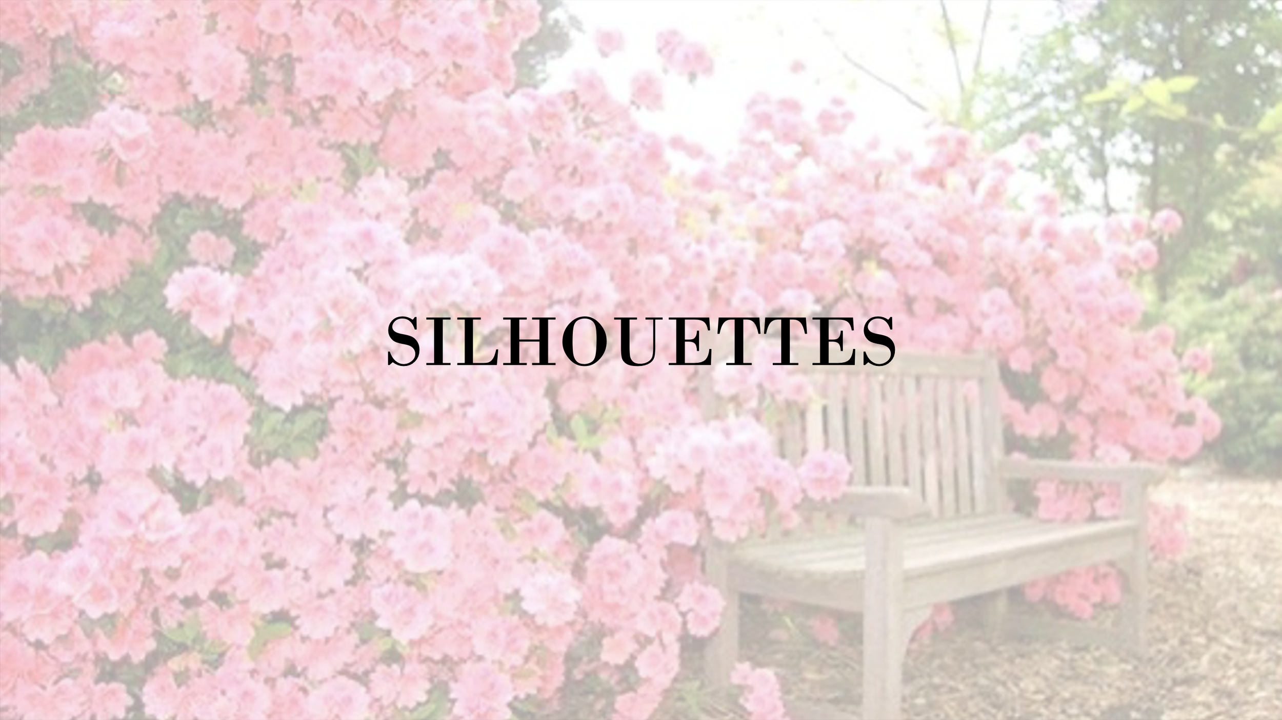 Screenshot 2024-05-14 at 8.25.24 AM.png