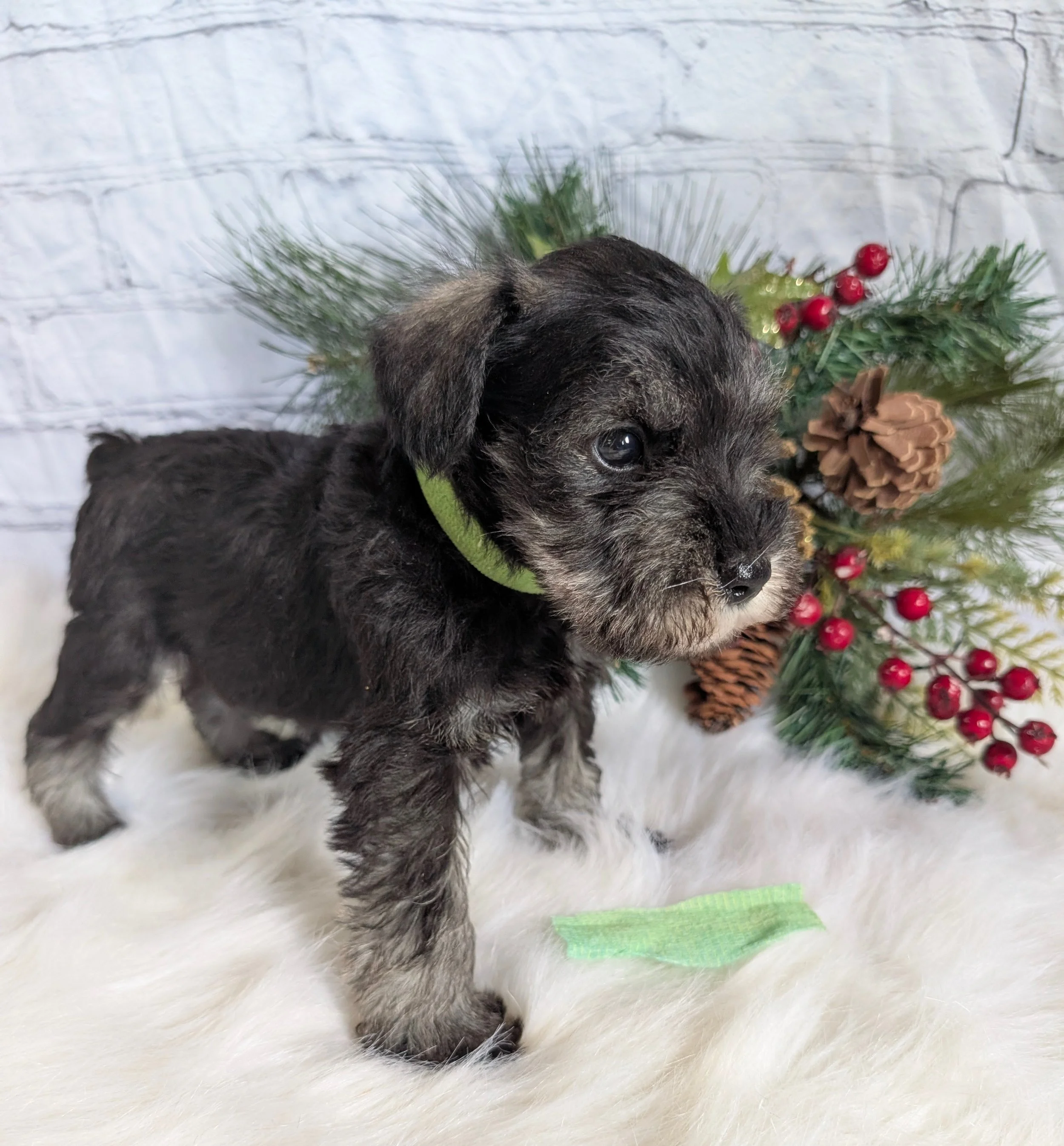 PXL_20251215_182310728 - Copy.jpg