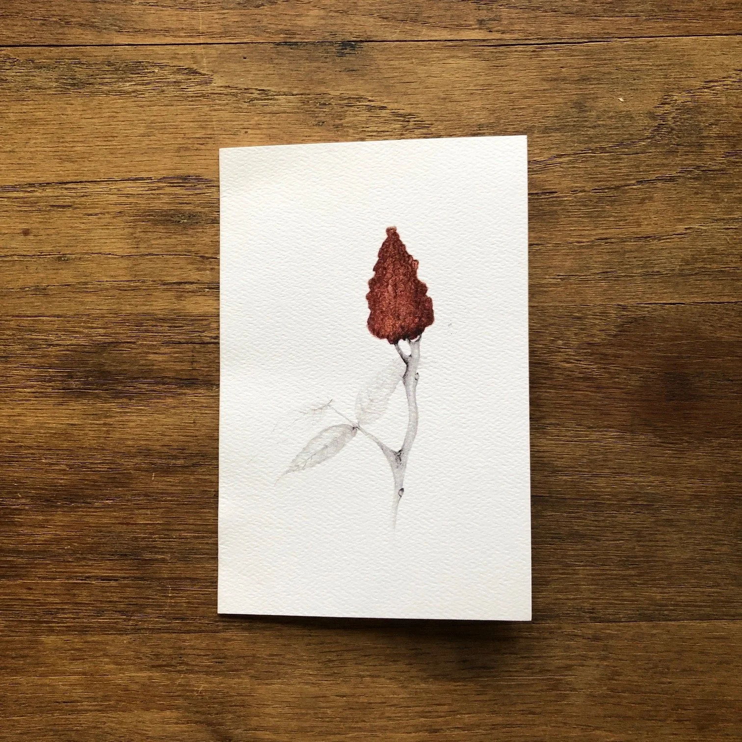 Sumac 10:21.JPG