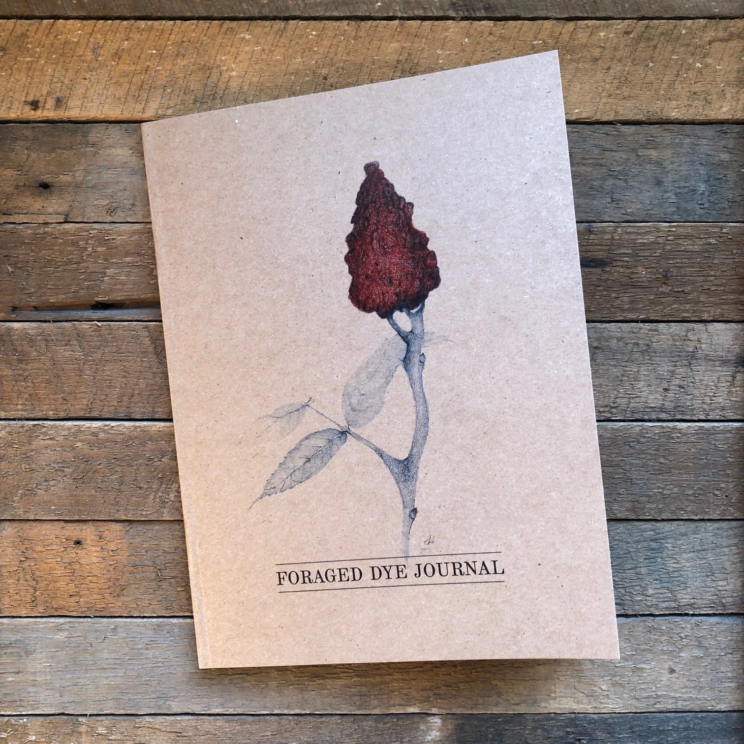 Foraged Dye Jouranl 1.JPG