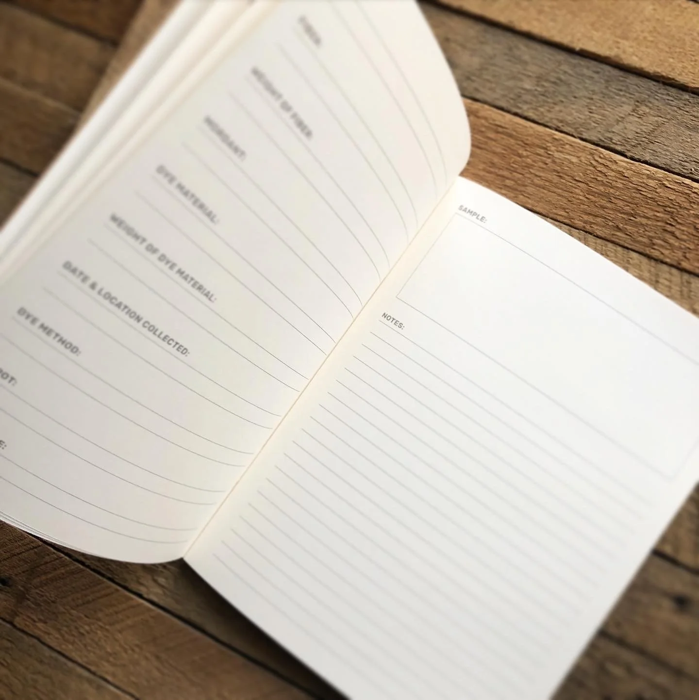 Journal text apge.JPG