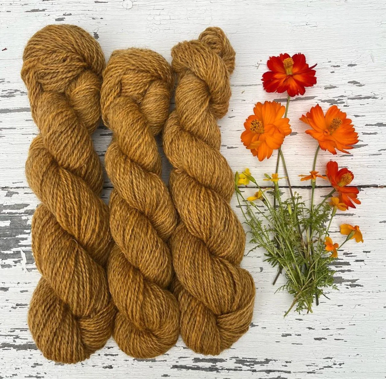 Rustic Yarn Coreopsis Naturally Dyed River Yarn — Fisher Cat Fiber Co.