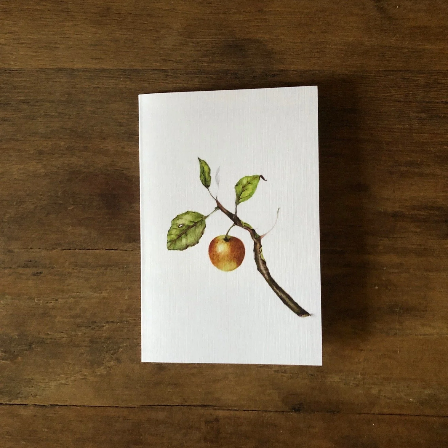 Apple Bark-Catskill Natural Dye Note Card