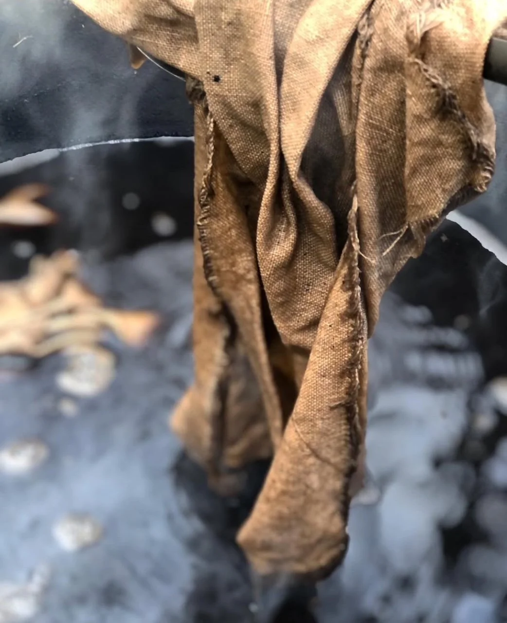 A Natural Dye Study of The Eastern Black Walnut