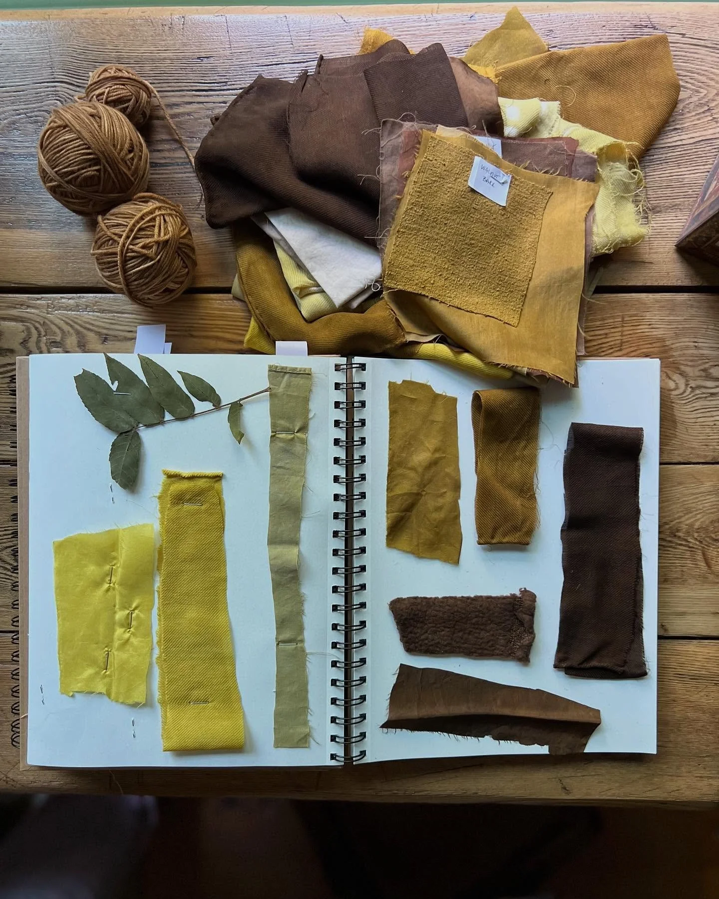 Taking the time to record samples from our recent natural dye workshop, A Study of the Eastern Black Walnut. I review this dye so often because it checks all the boxes for me:
✔️Local-native to NYS
✔️Easy-you can get strong results with cold or heate