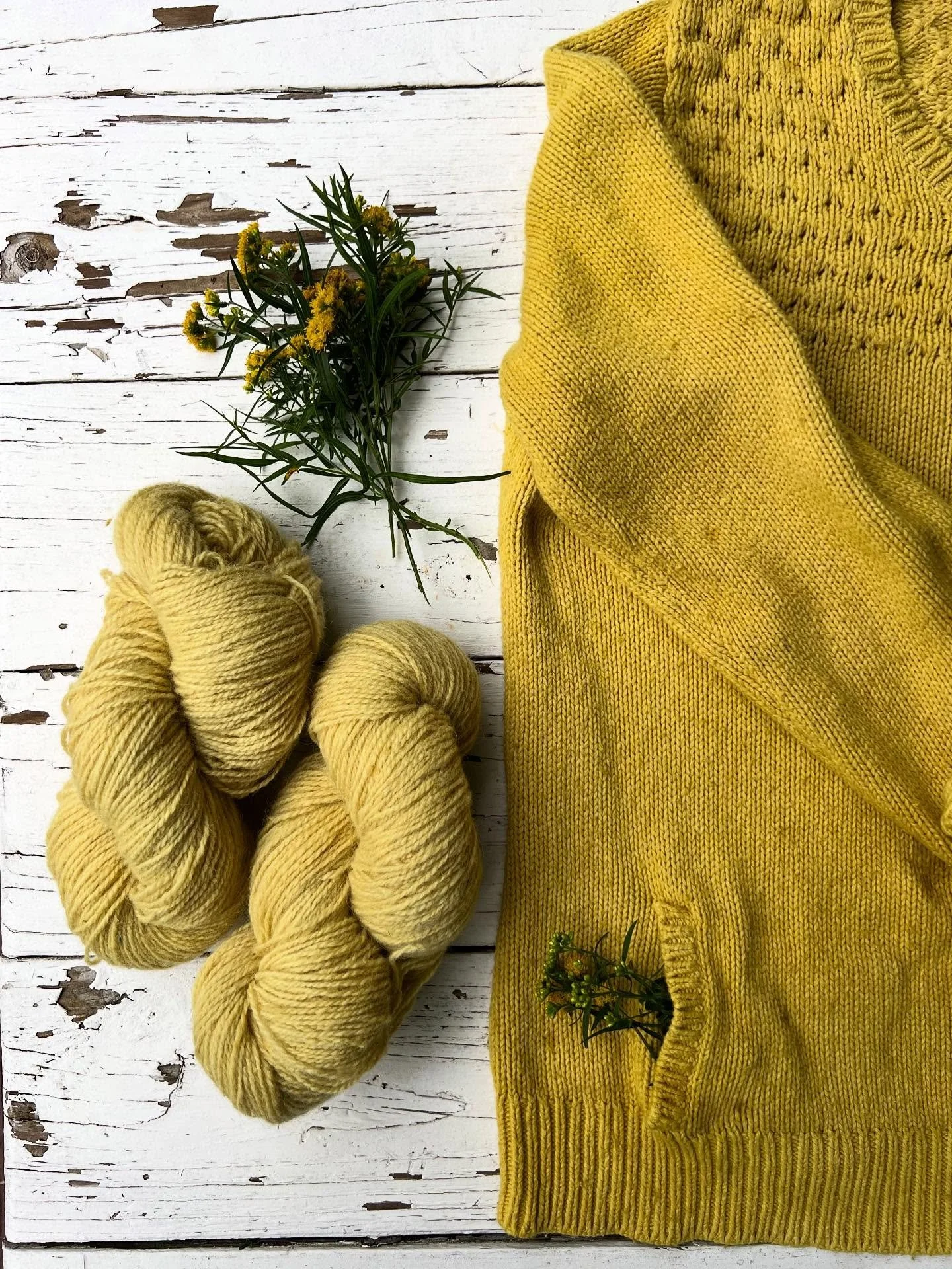 Yesterday, I overdyed one of my Mom&rsquo;s sweaters&mdash;goldenrod never fails to pack a punch. I used the exhaust bath to dye the wool yarn. Comfortably worn in, and it will be a comfort to wear. 💛 
.
.
.
.
.
.
.
.
.

#goldenrod #naturaldye #natu