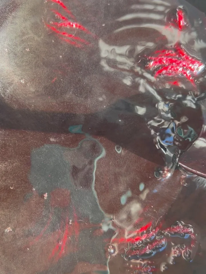 The results from dyeing with umbilicate lichen, Lasallia papulosa, the toadskin variety. 
It&rsquo;s always a gift to watch this dye develop over time. Different varieties of wool take on brighter shades of fuchsia. 
Lichens were sustainably harveste