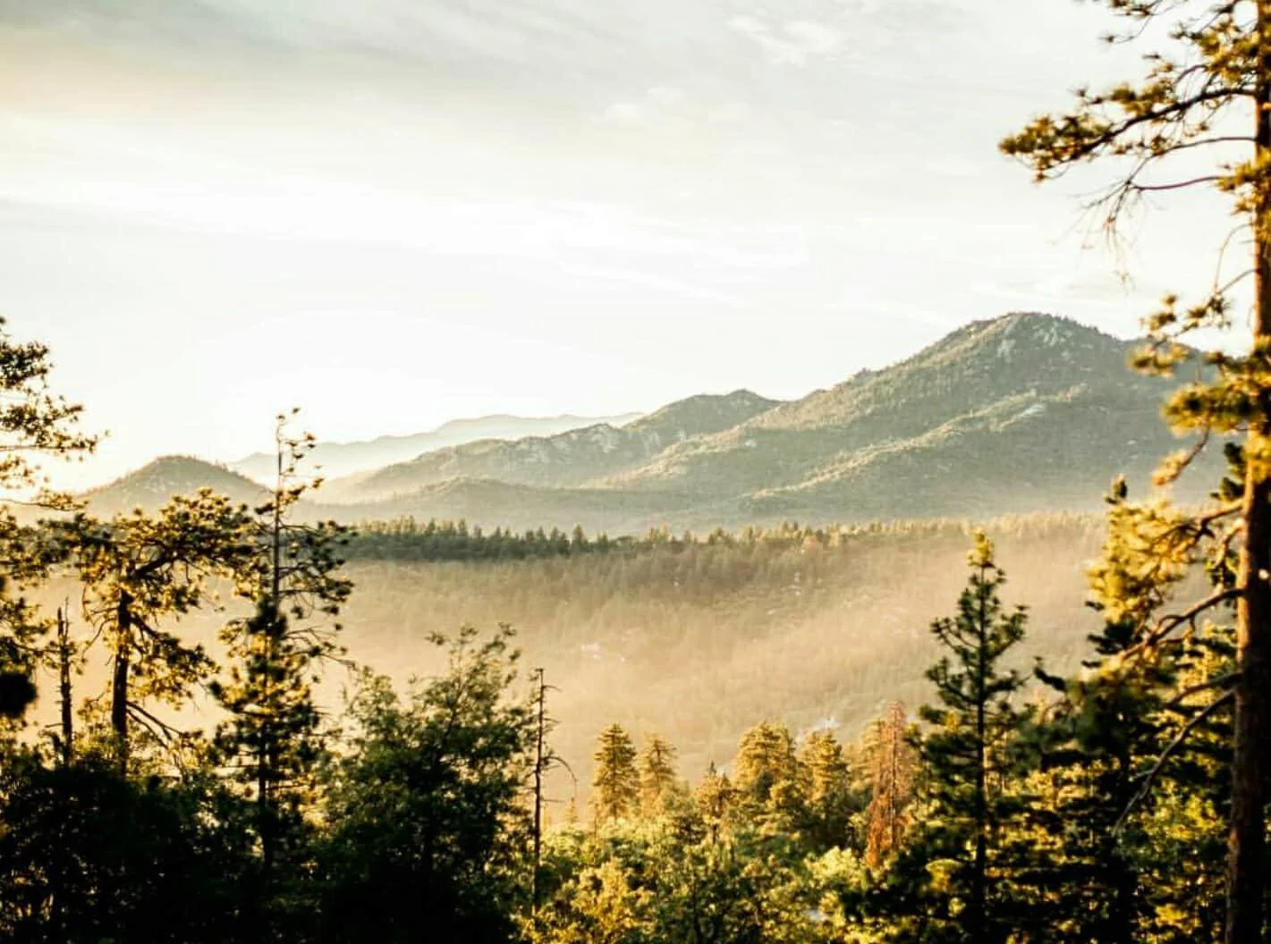 How To Spend A Weekend In Idyllwild