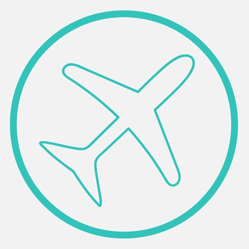 airplane icon.jpg