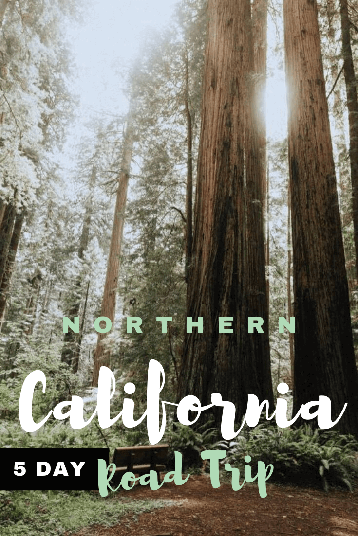 Northern California Coast Road Trip &amp; Driving Itinerary