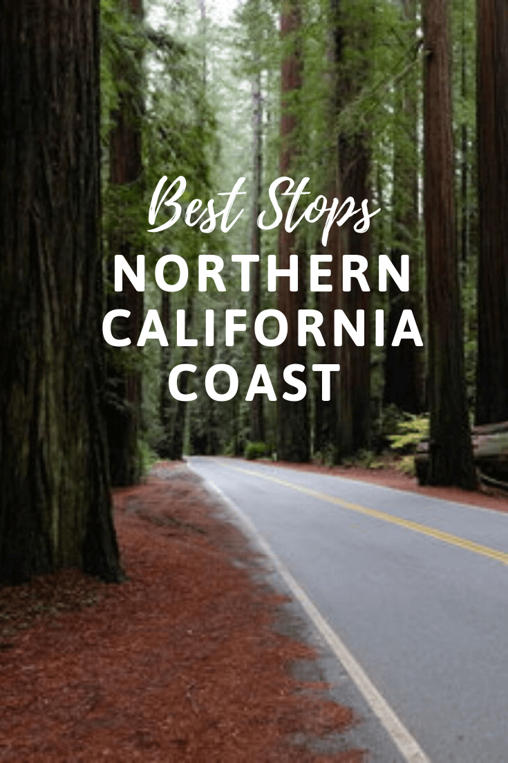 Best Stops on a Northern California Road Trip