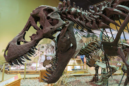 Incredible Things To See & Do In Wyoming: Visit The Dinosaur Center