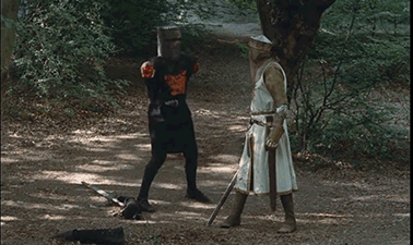 only-a-flesh-wound.jpeg