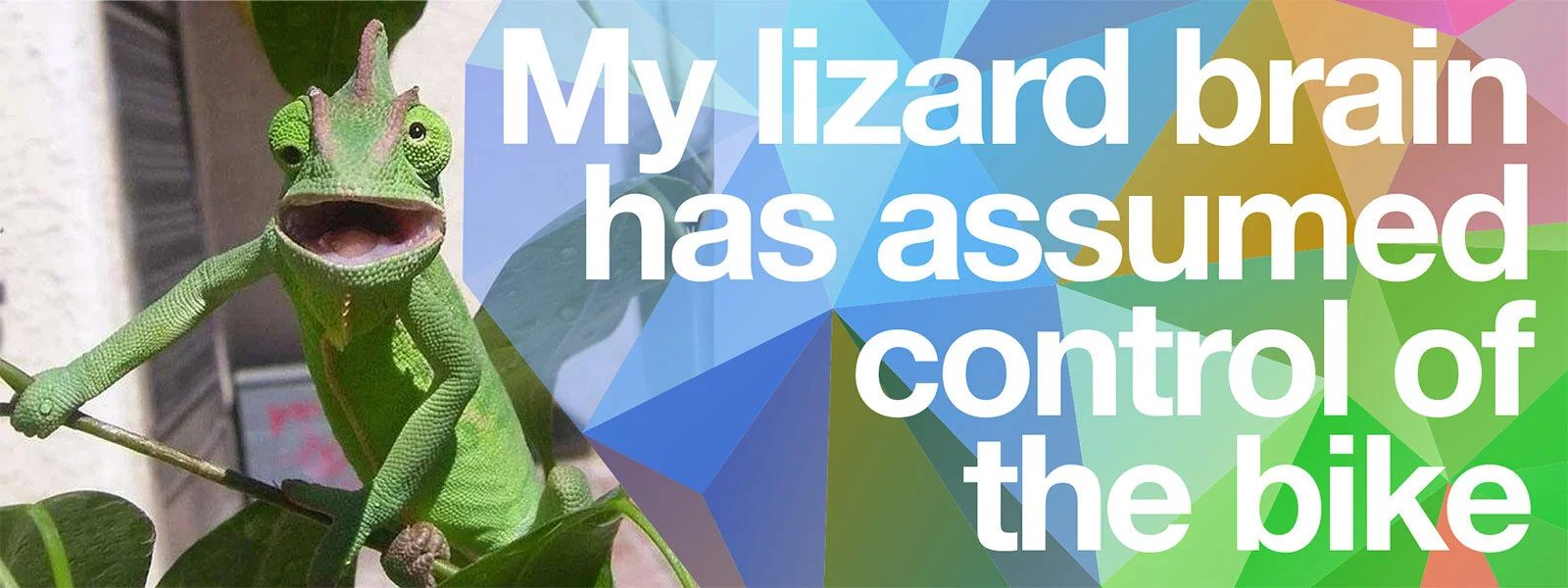 Lizard Brain Debut — Traction eRag