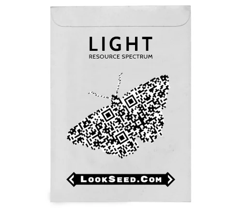 SS-LookSeeds.jpg