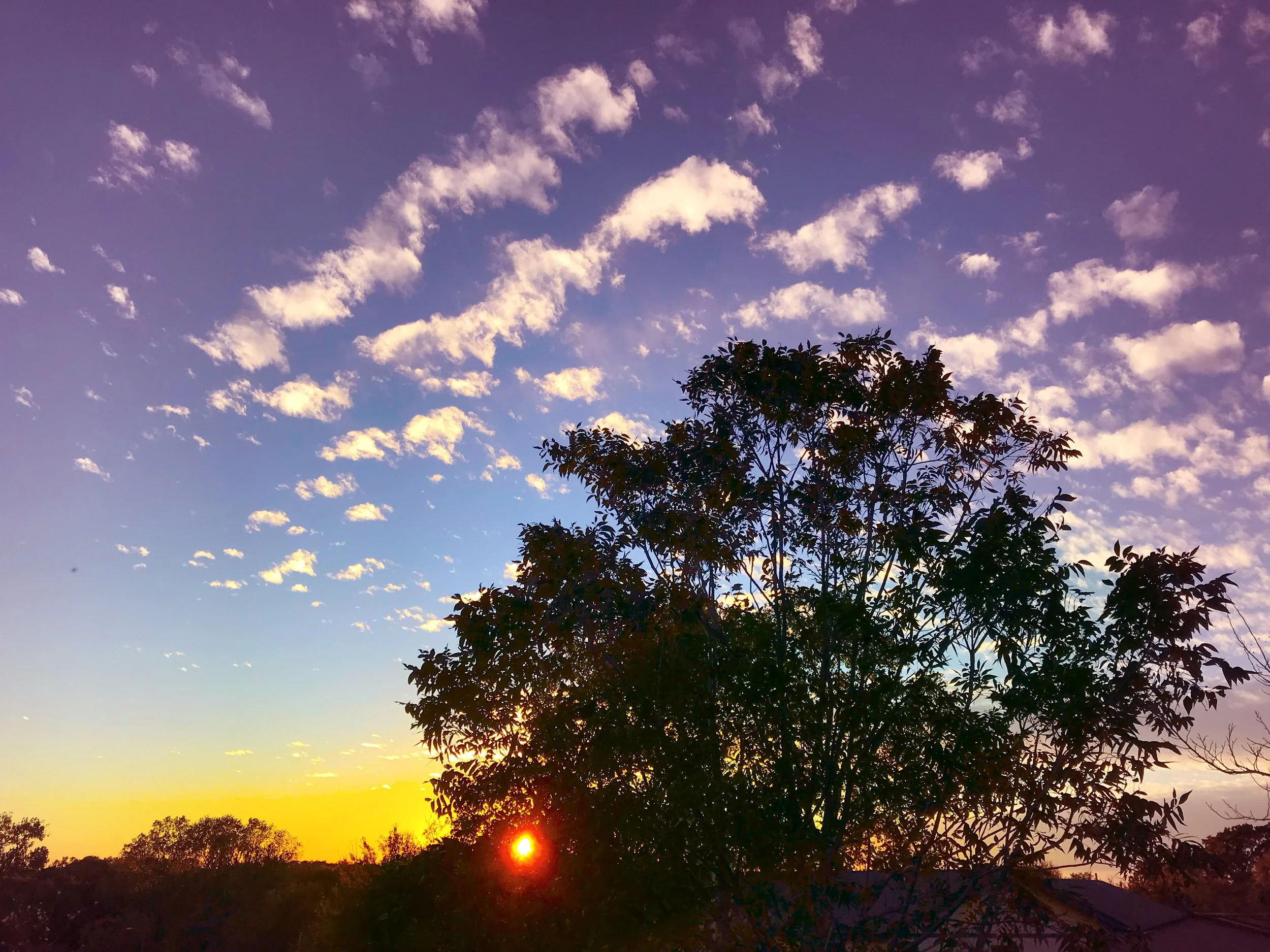      Churning, Burning, Earning