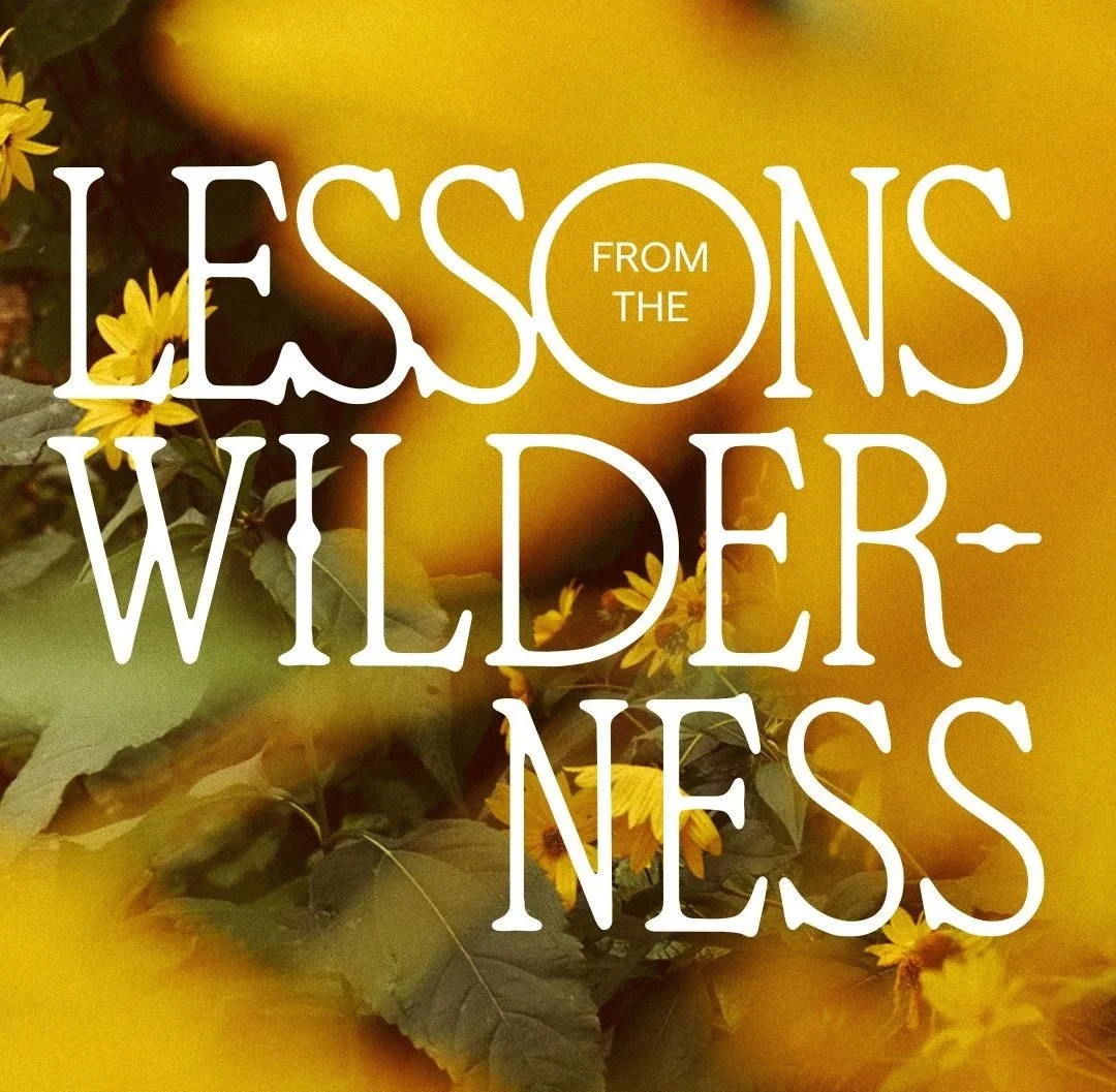 Wilderness_IG.jpg