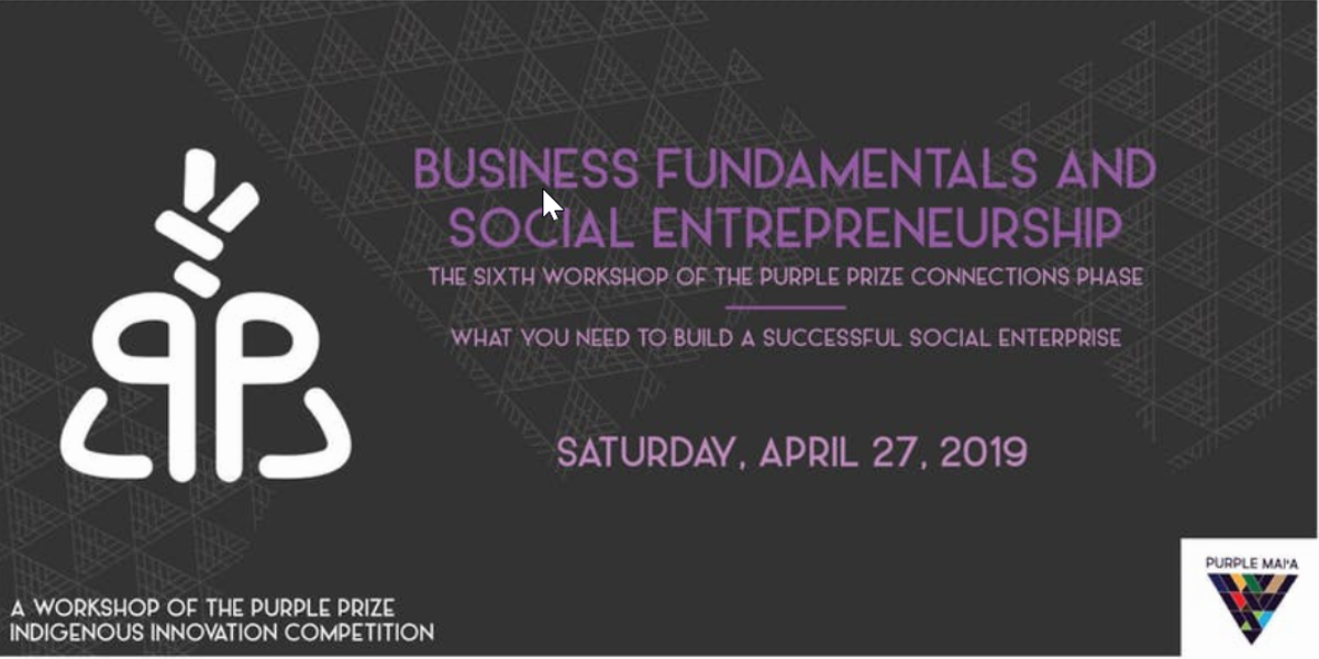 Business Fundamentals and Social Entrepreneurship