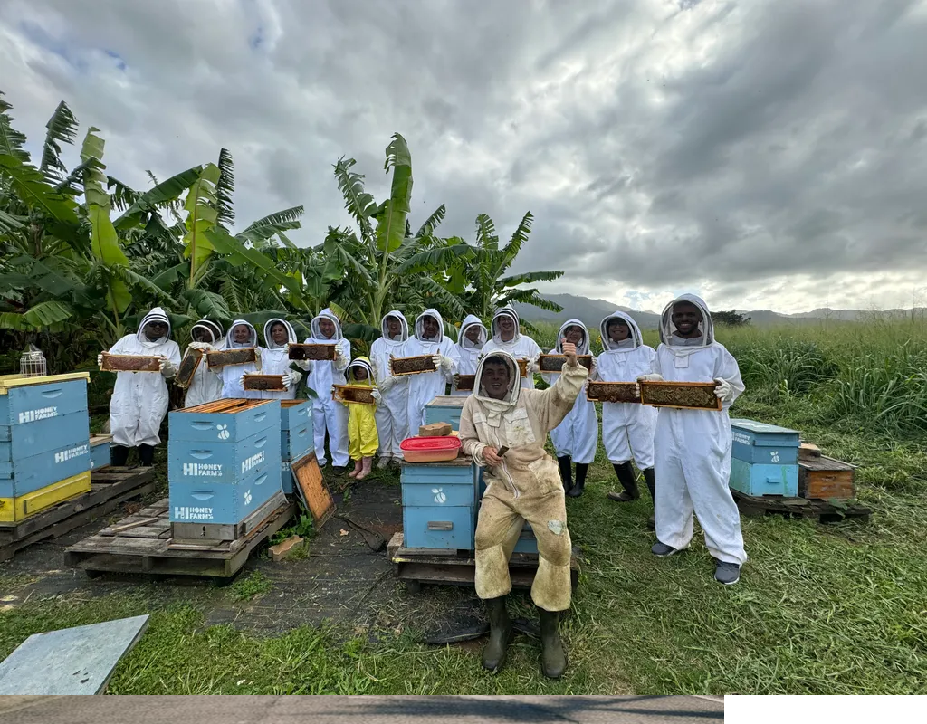 Code with Aloha - Second Monday Project Night