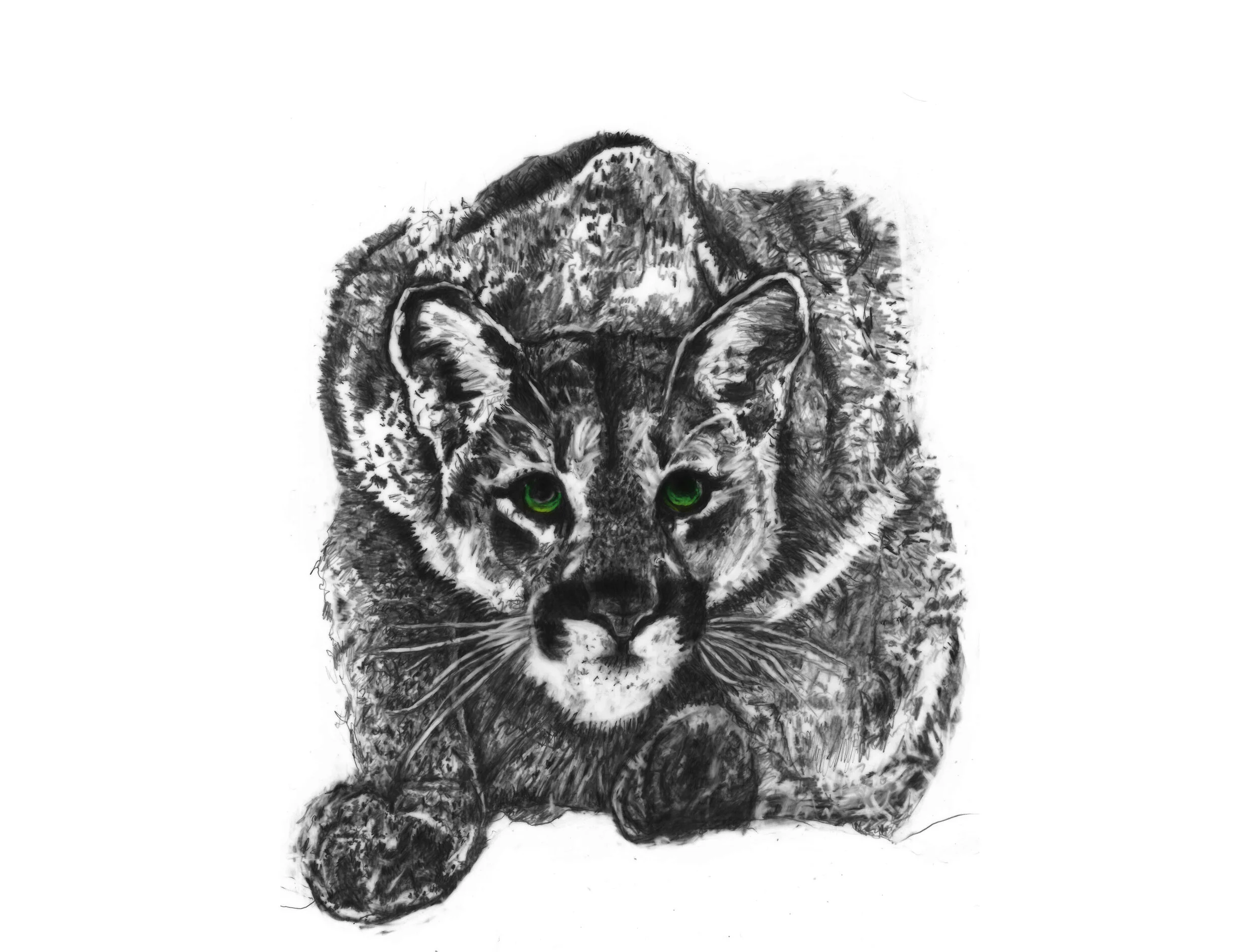 ALLOHAK _1&2 COLOR EYES.jpg