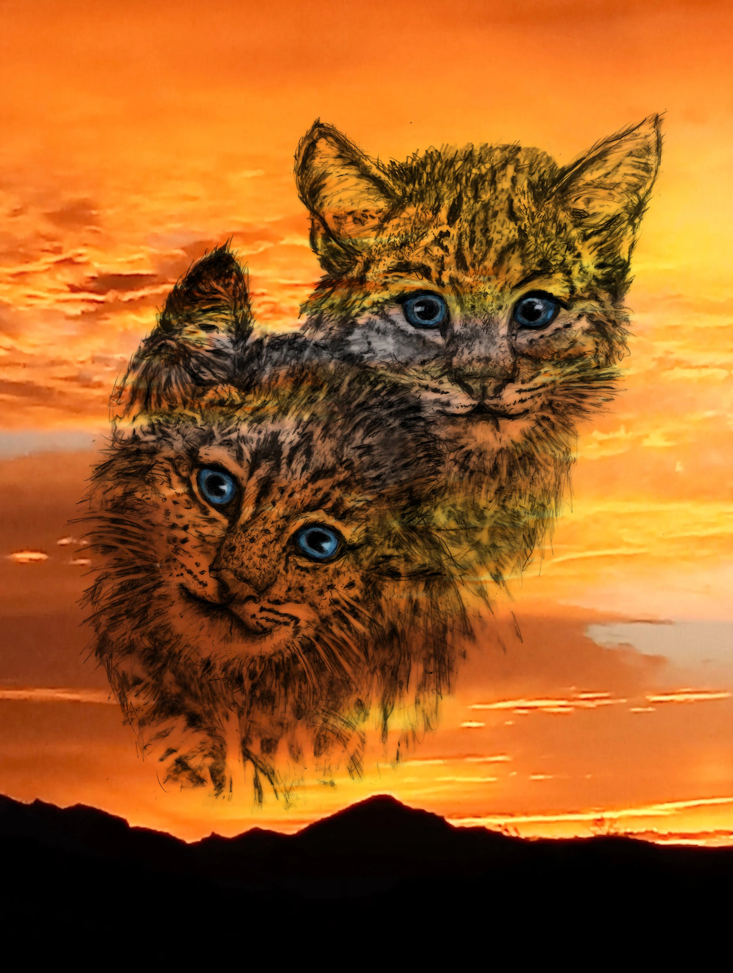 Curious Bobkittens.jpg