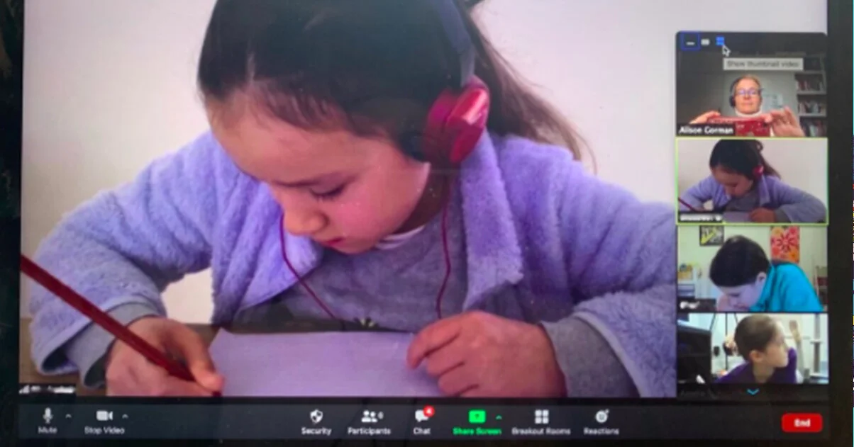 What I Learned Teaching Online Classes