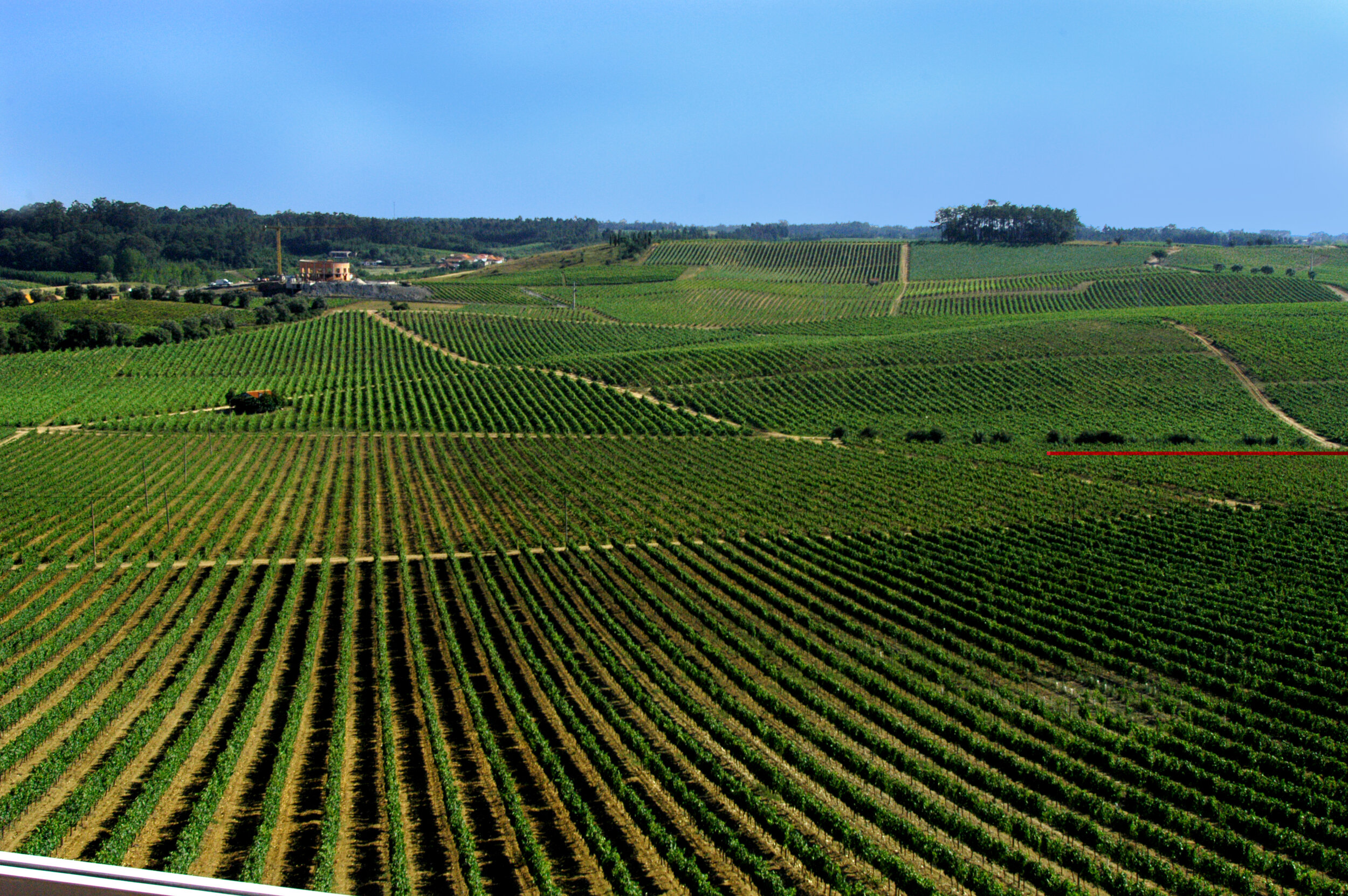 Portugal Tour - Final Payment (Instalment #3) Per Person Twin Share