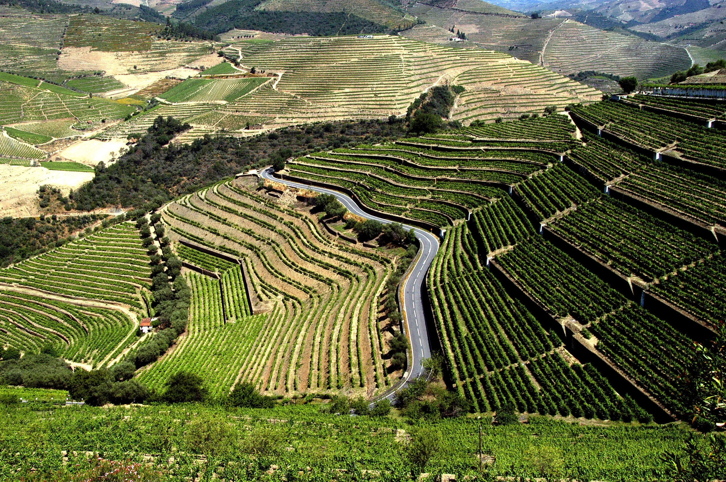 DOURO_09.JPG