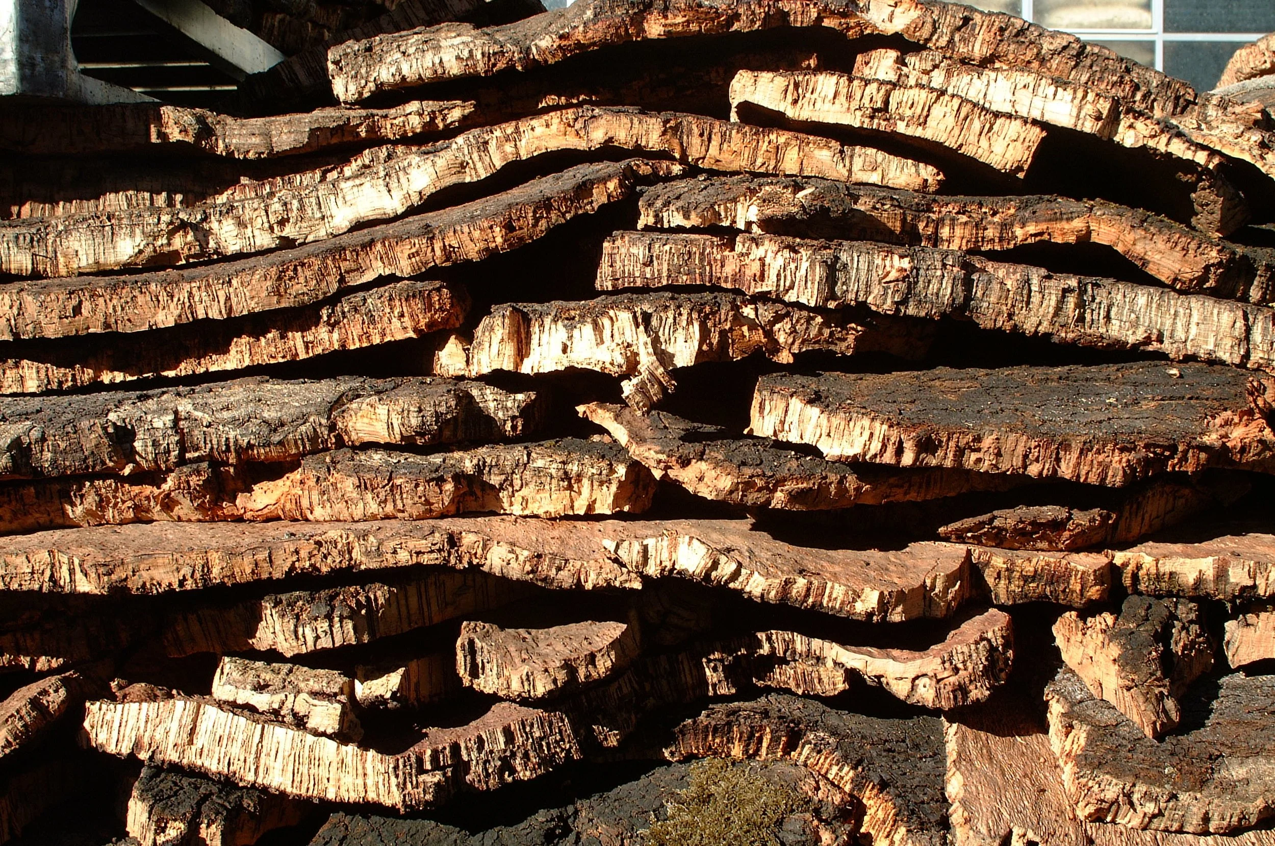 ALENTEJO_10_GLADSTONE CAMPOS.JPG