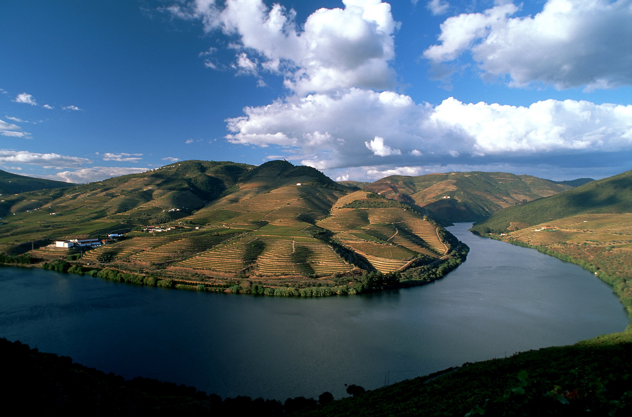 DOURO_01_RUI CUNHA.jpg