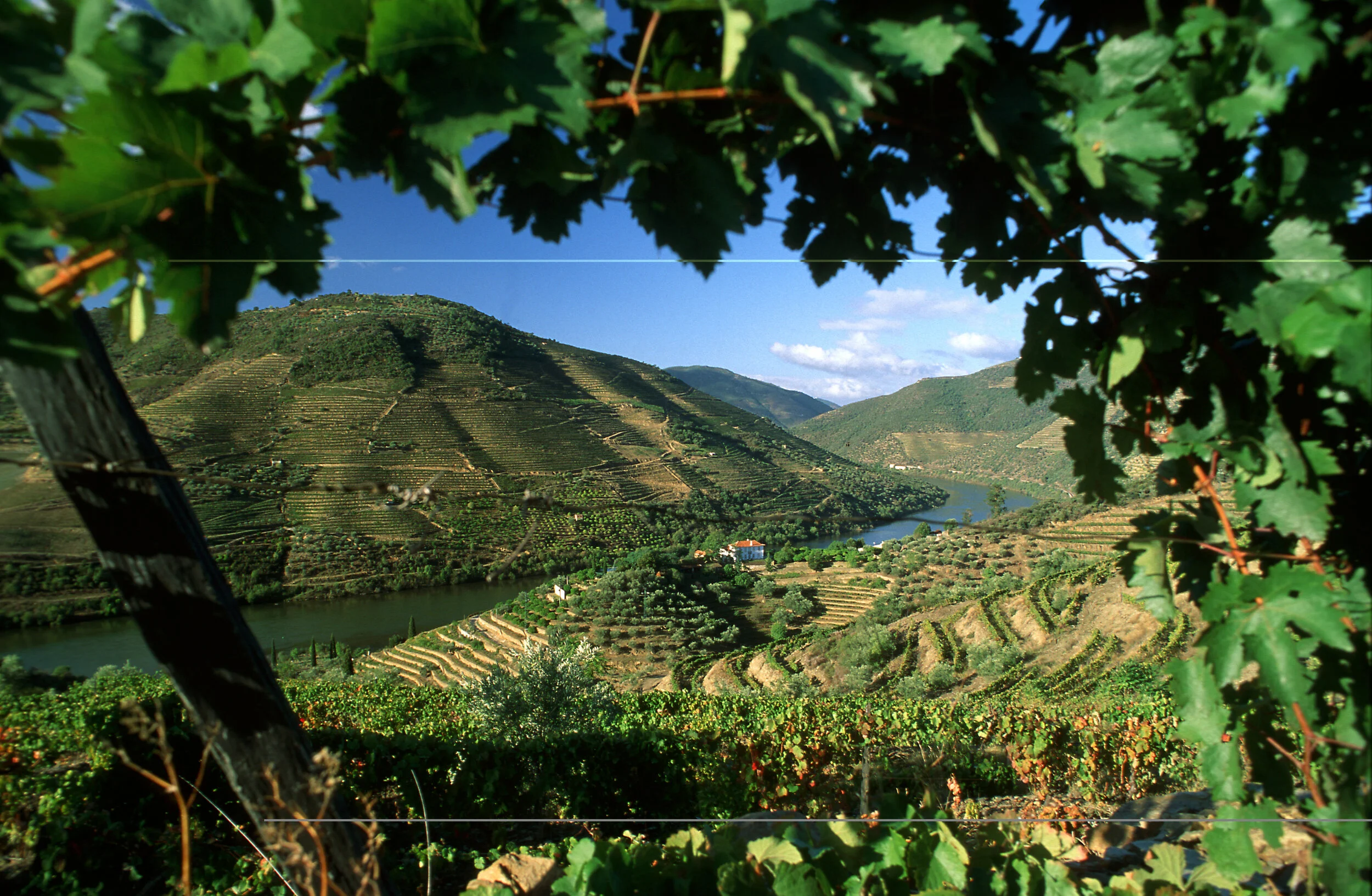 DOURO_02_RUI CUNHA.jpg